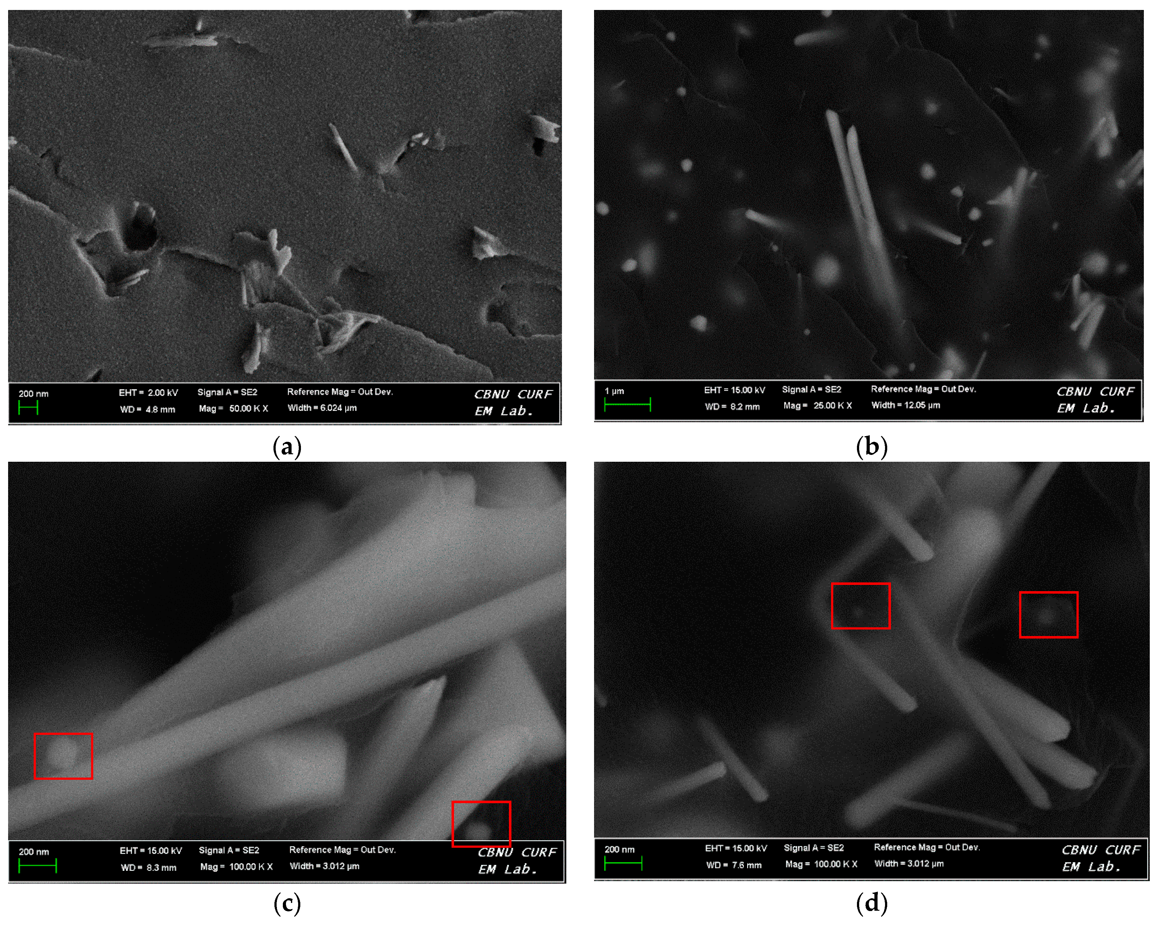 Polymers 08 00157 g006 550