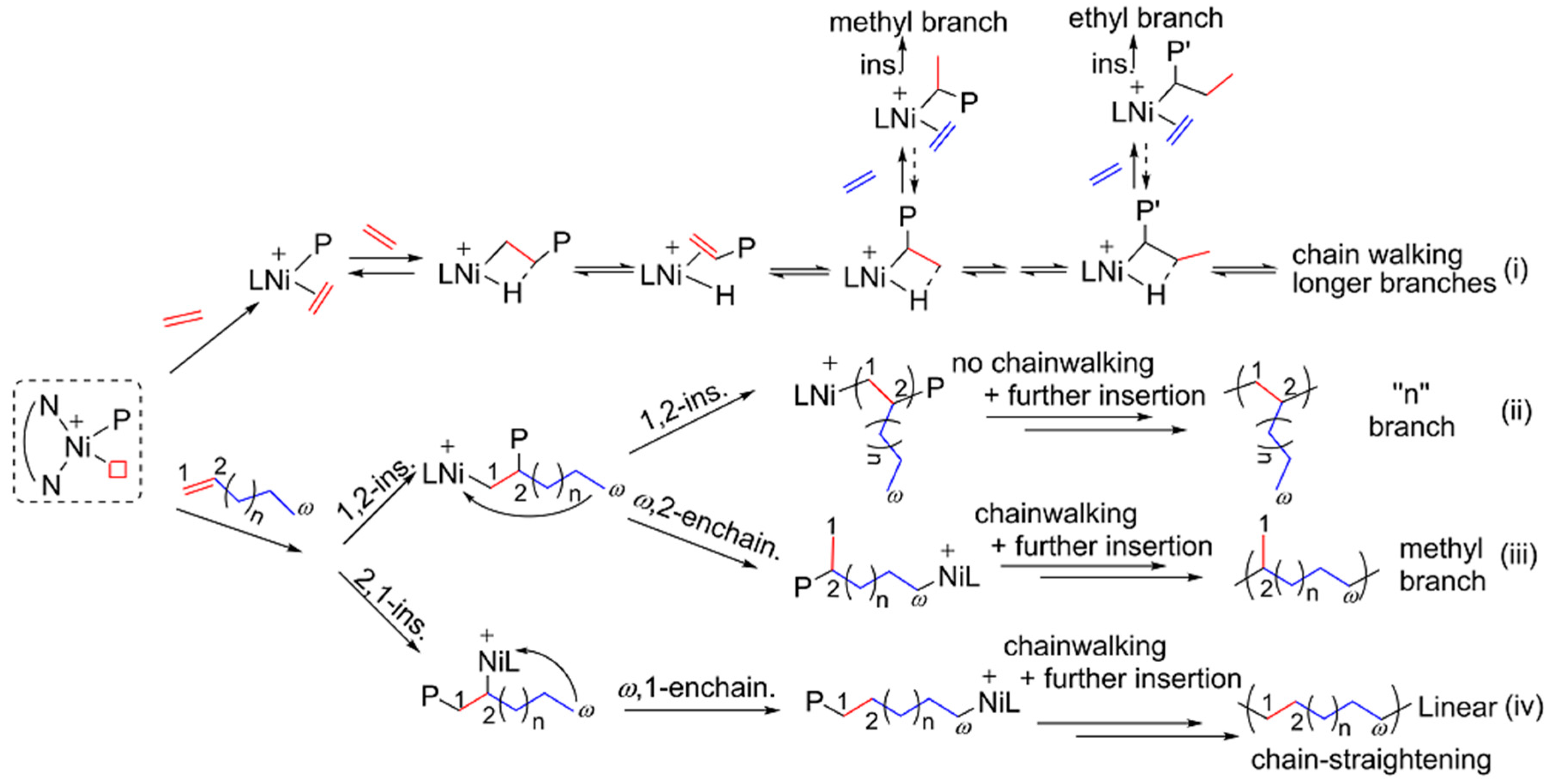 Polymers 08 00160 sch001