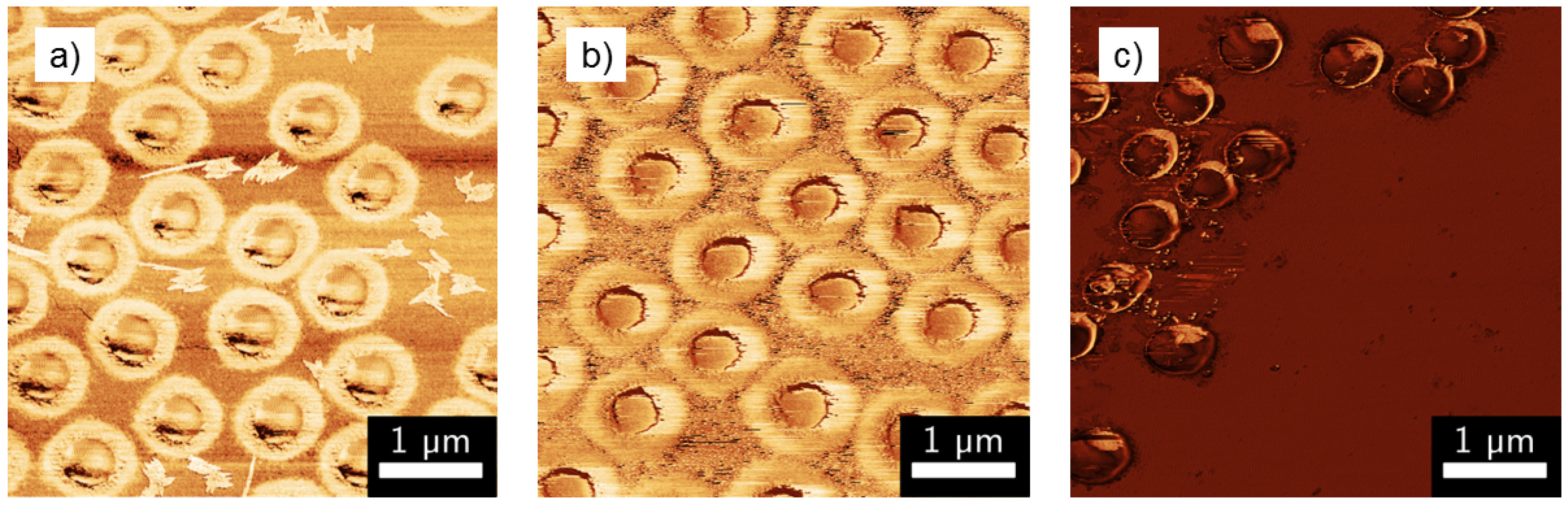 Polymers 08 00162 g004