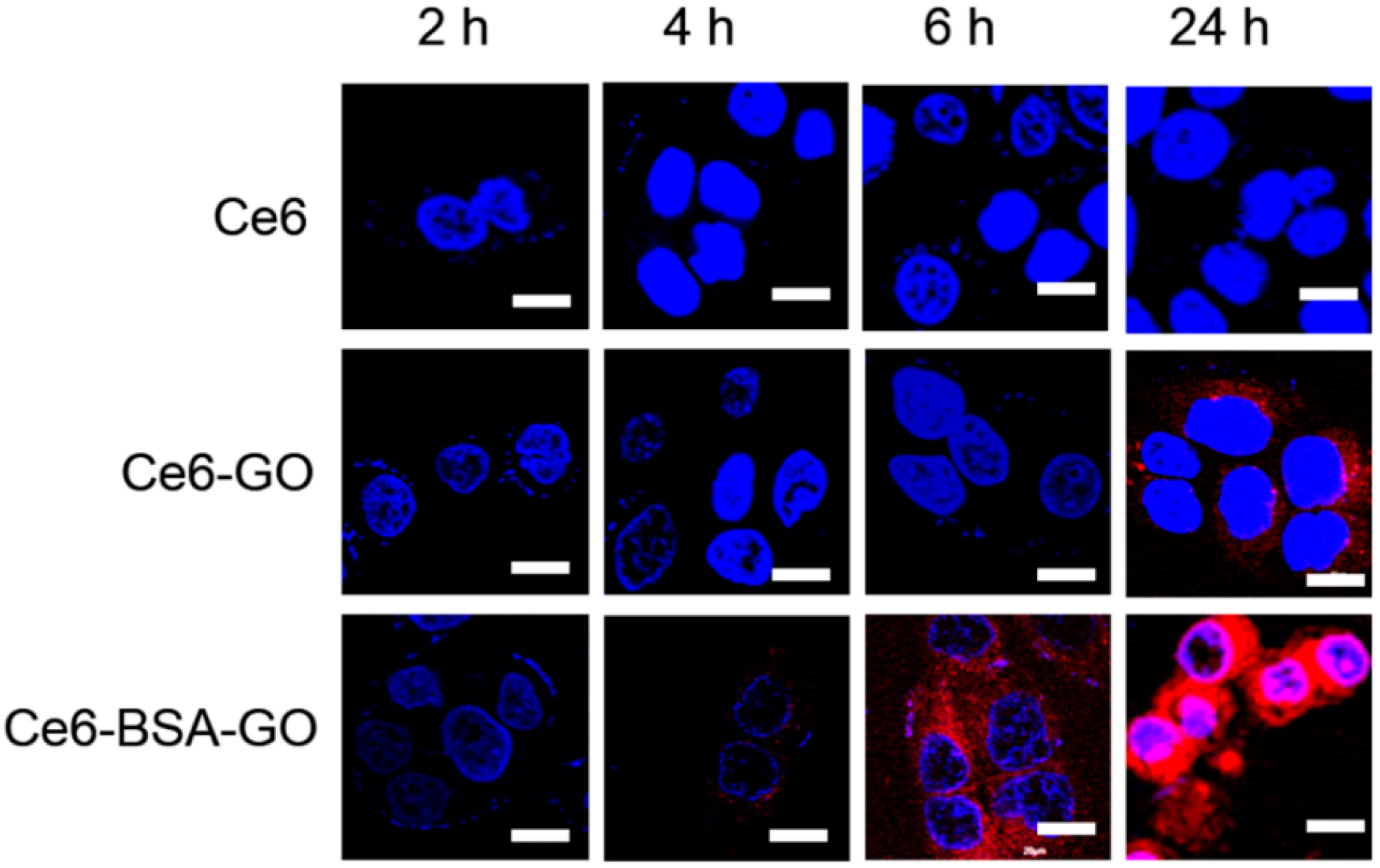 Polymers 08 00181 g005