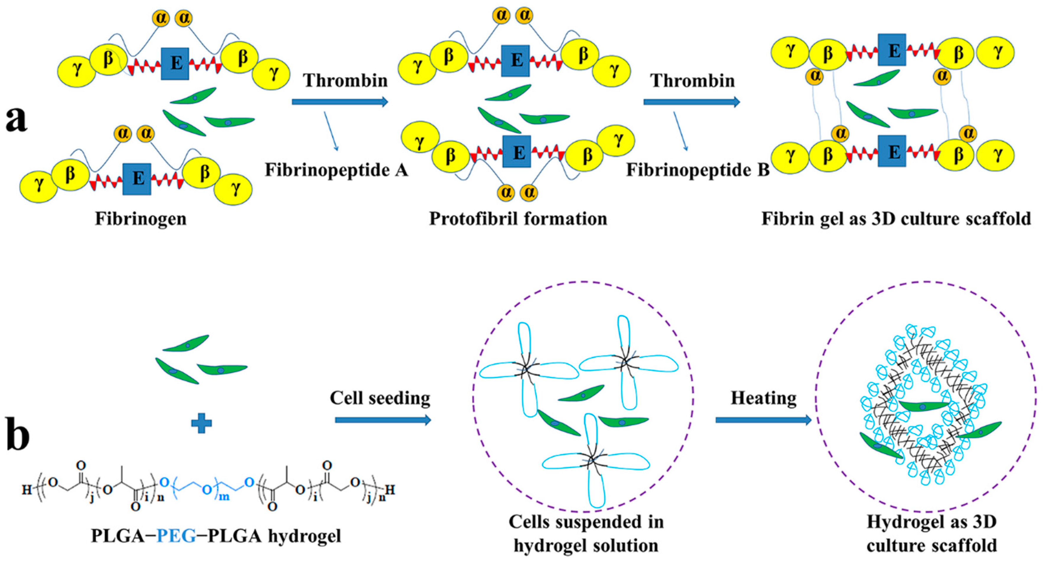 Polymers 08 00182 g001 1024