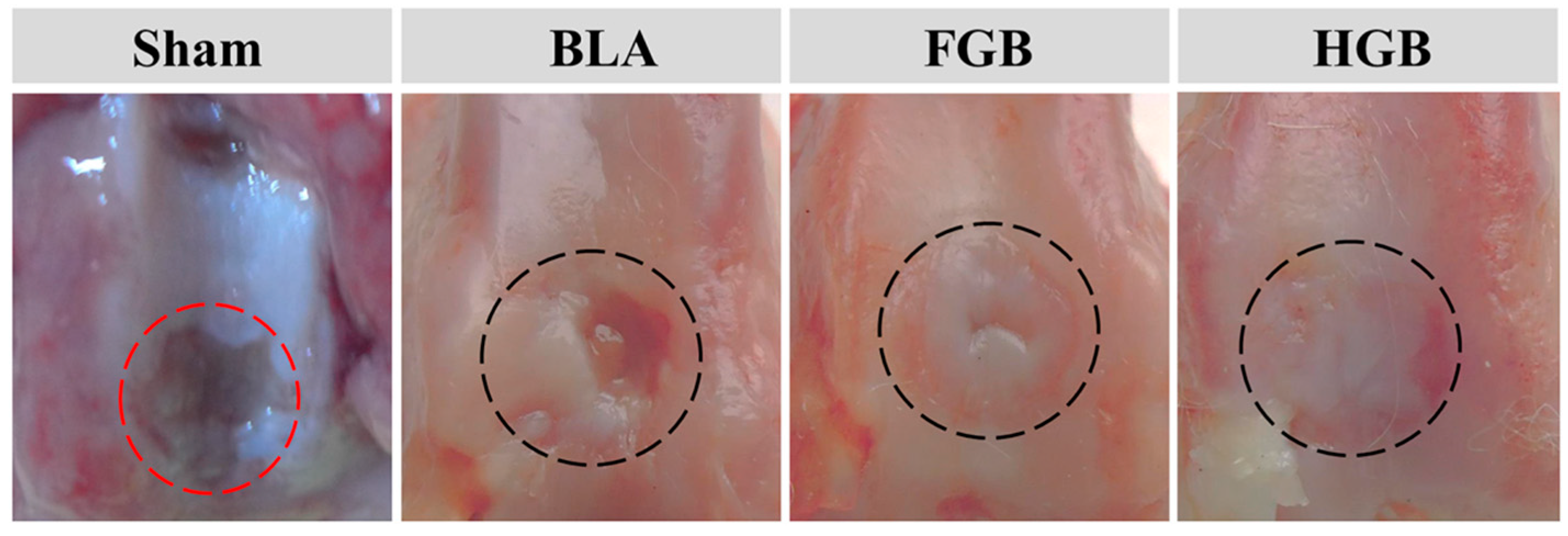 Polymers 08 00182 g006 1024