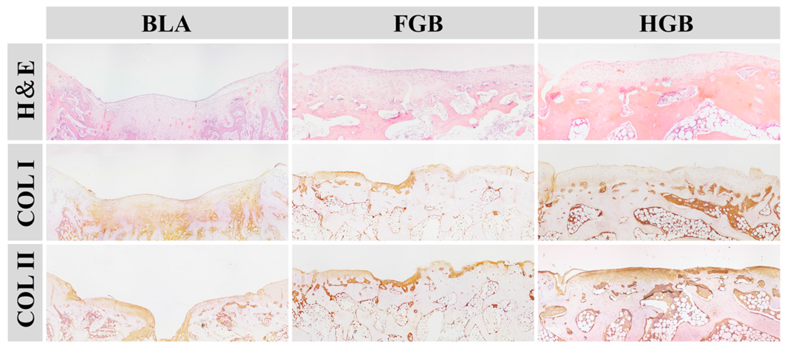 Polymers 08 00182 g007 1024