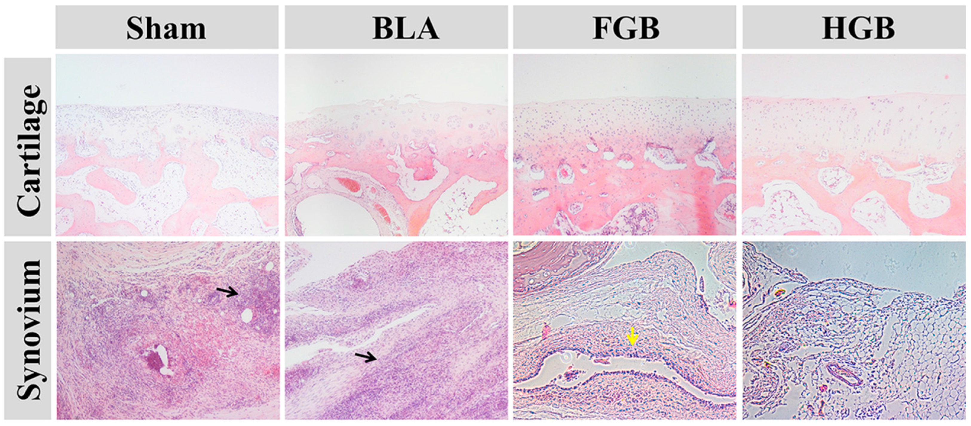 Polymers 08 00182 g009 1024