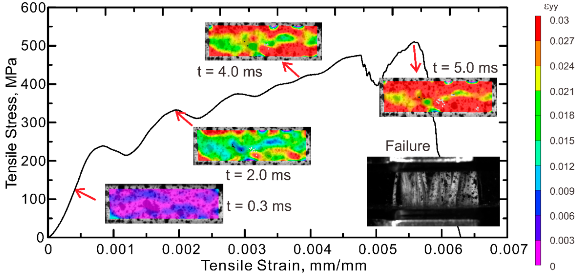 Polymers 08 00196 g007
