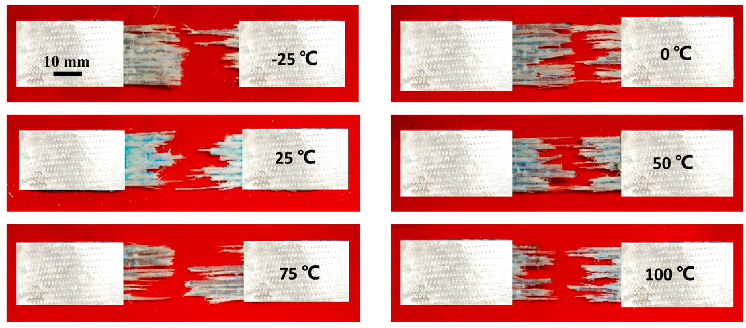 Polymers 08 00196 g012