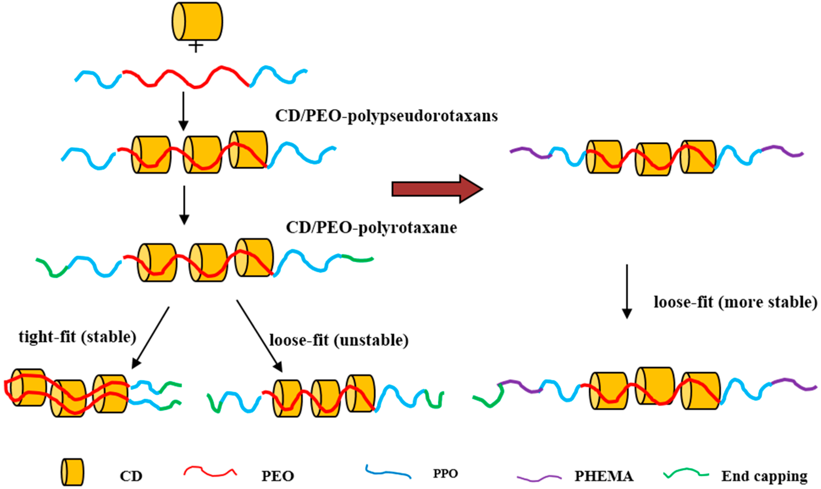 Polymers 08 00198 g002