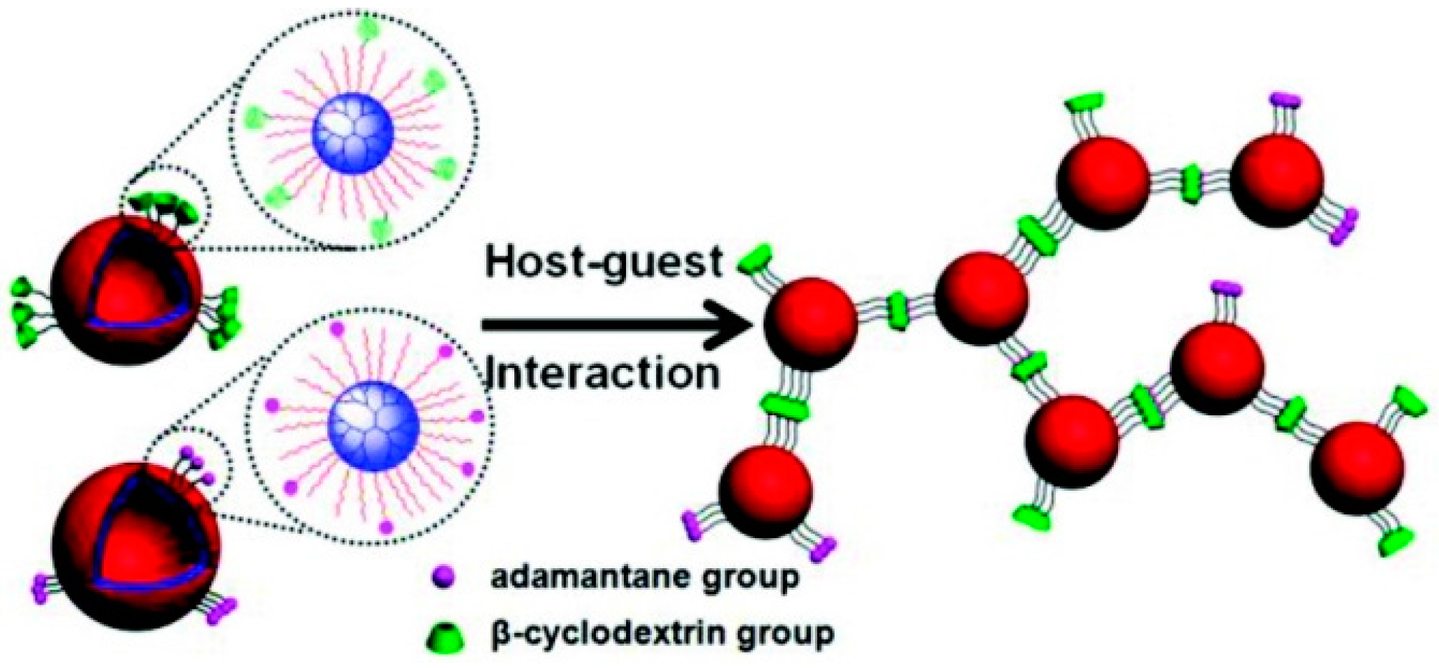 Polymers 08 00198 g005
