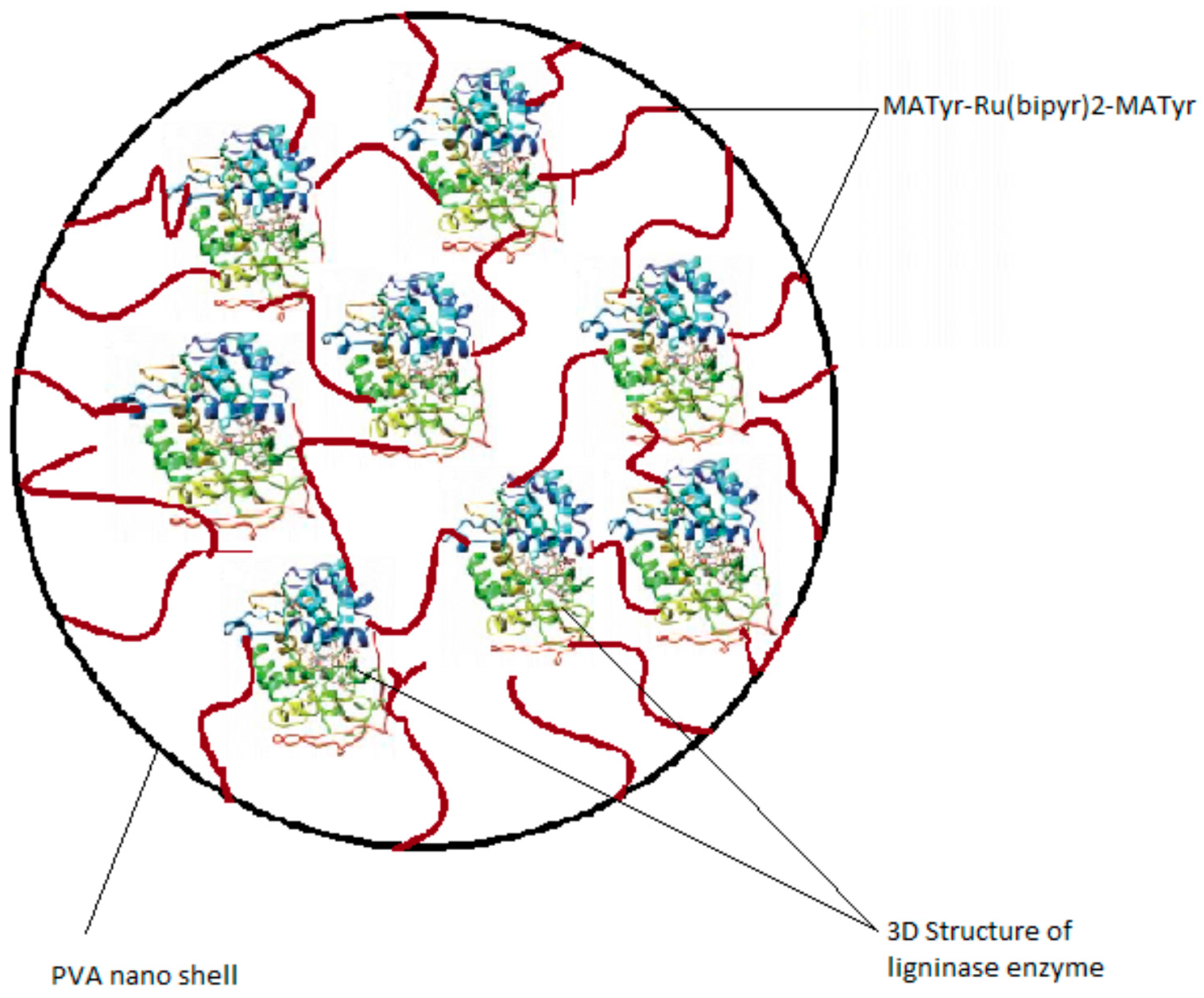 Polymers 08 00223 g002