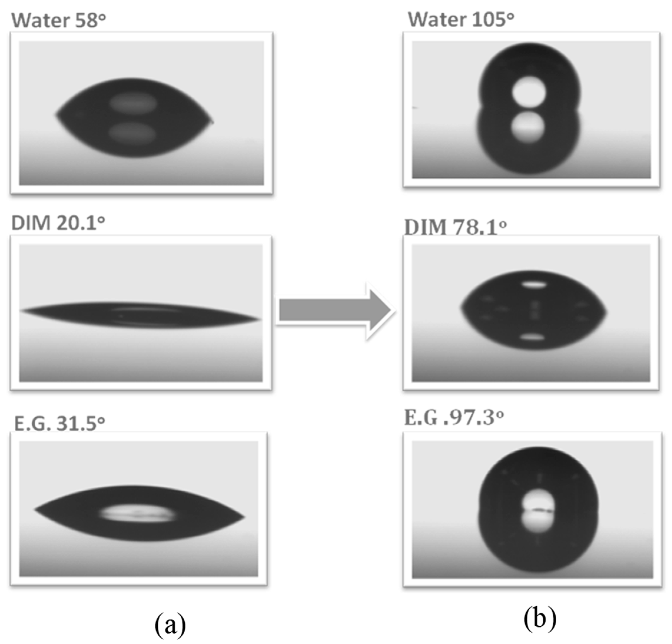 Polymers 08 00225 g007