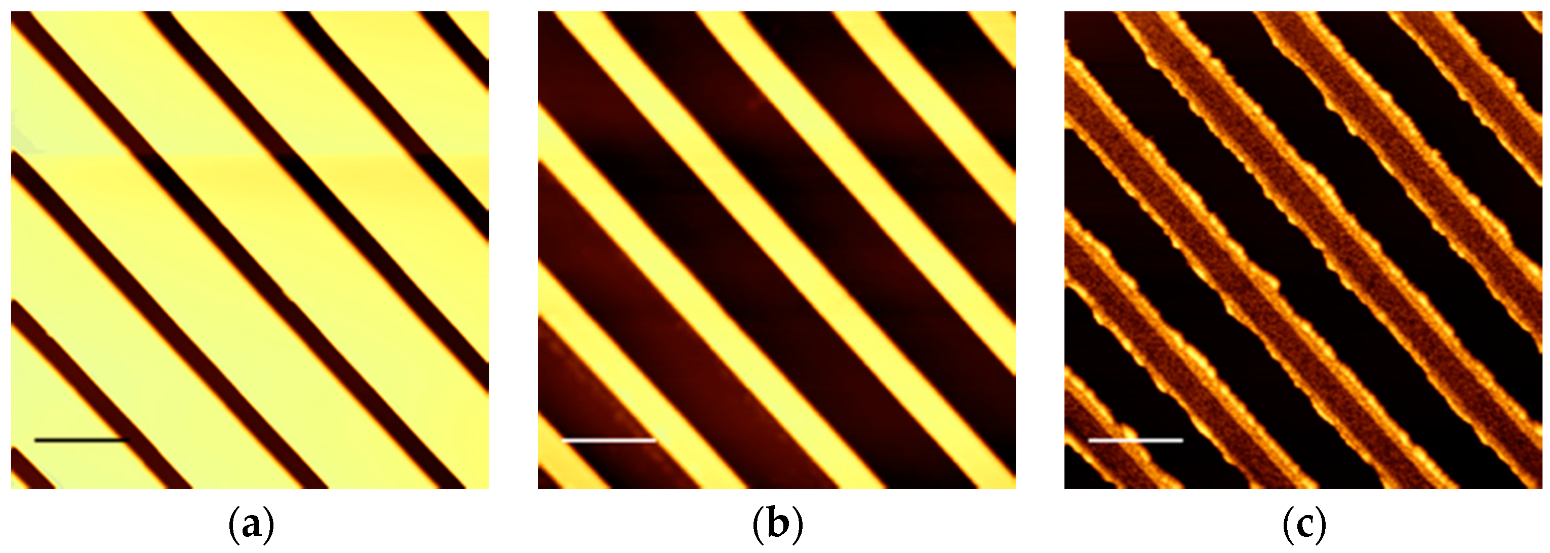 Polymers 08 00231 g001 550
