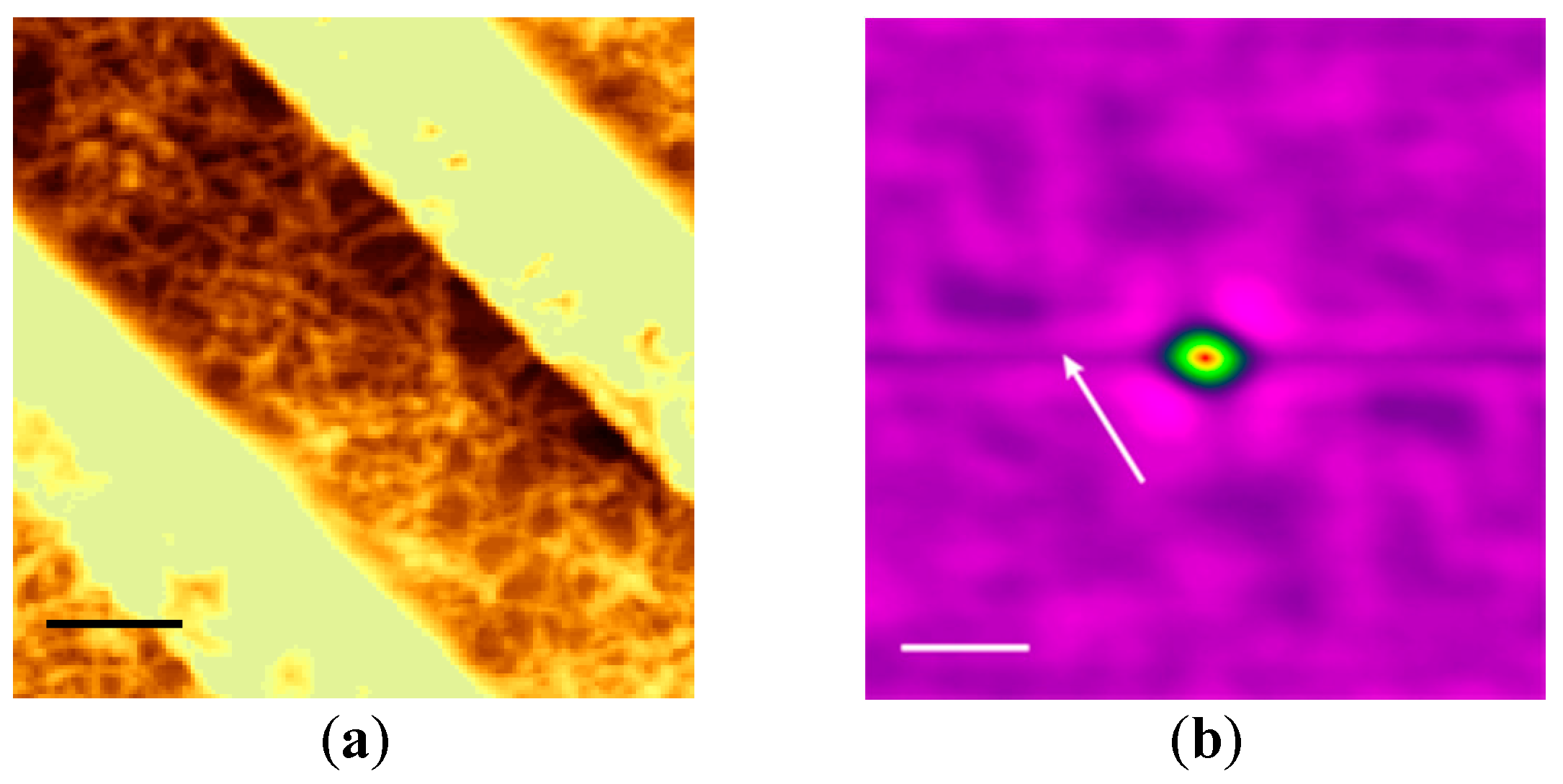 Polymers 08 00231 g004 550