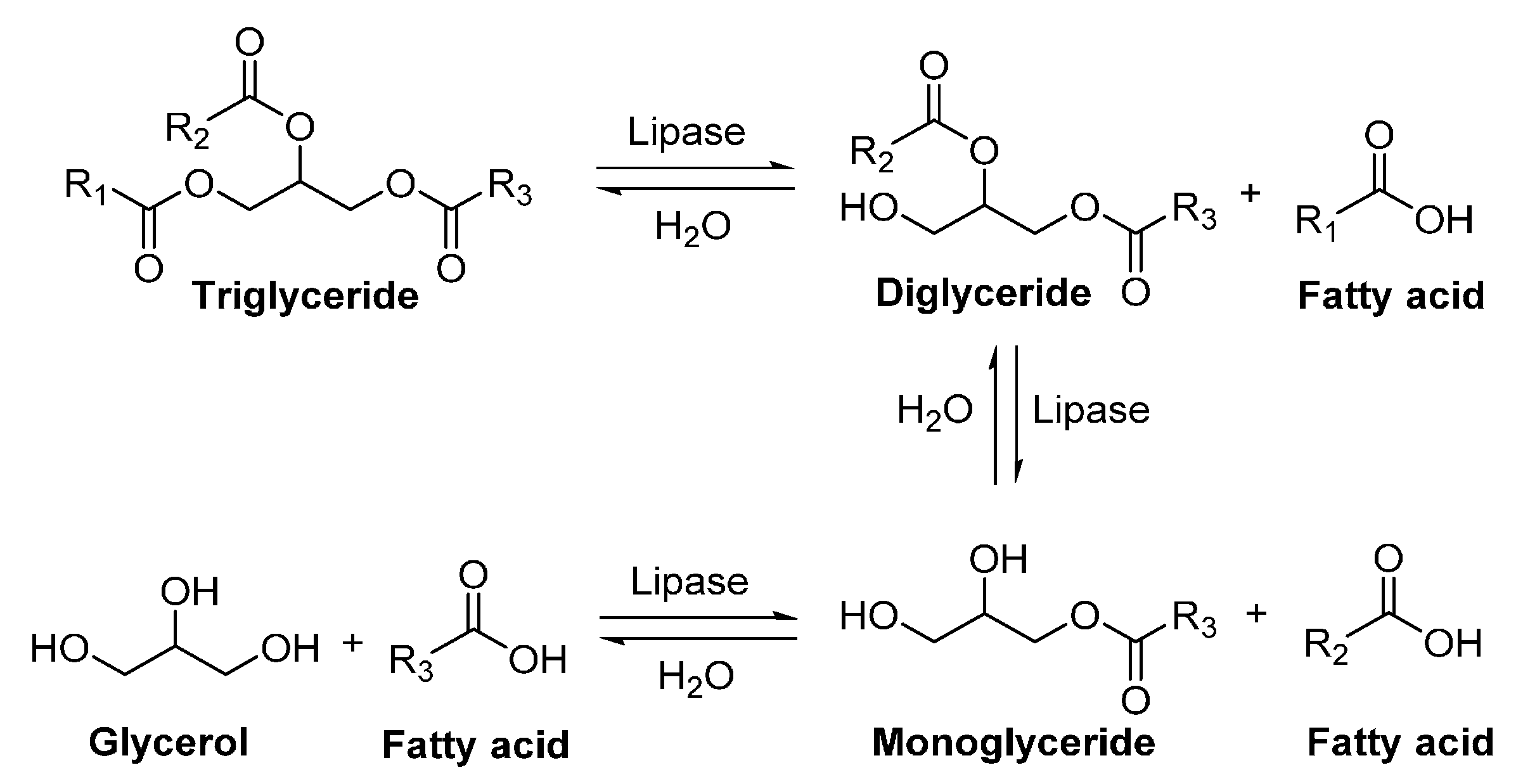Polymers 08 00243 sch008
