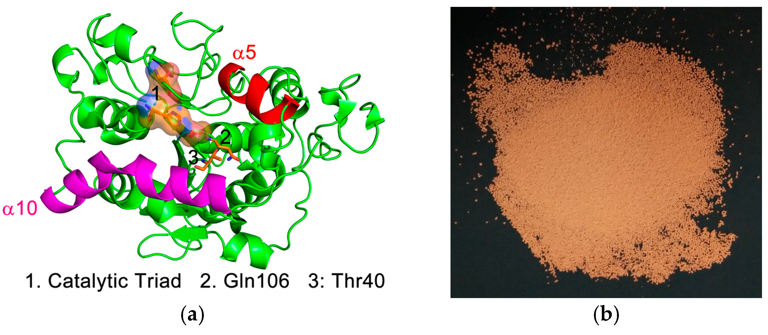 Polymers 08 00243 sch011