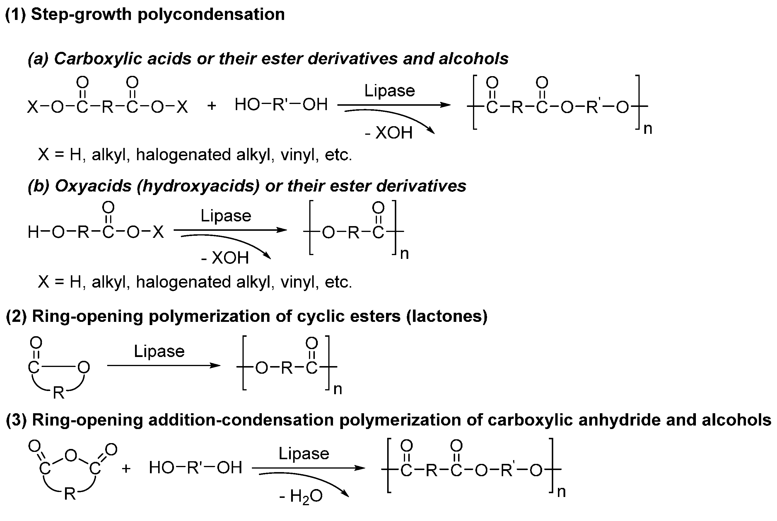 Polymers 08 00243 sch012