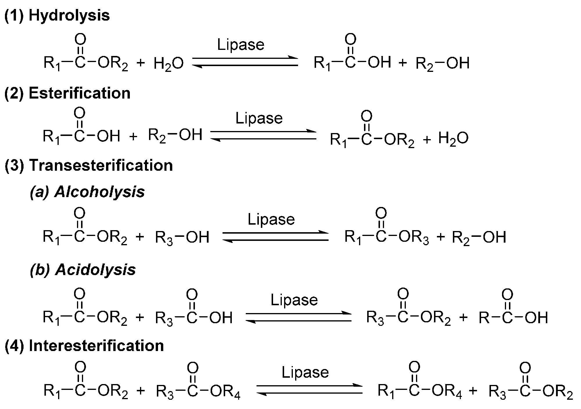 Polymers 08 00243 sch013