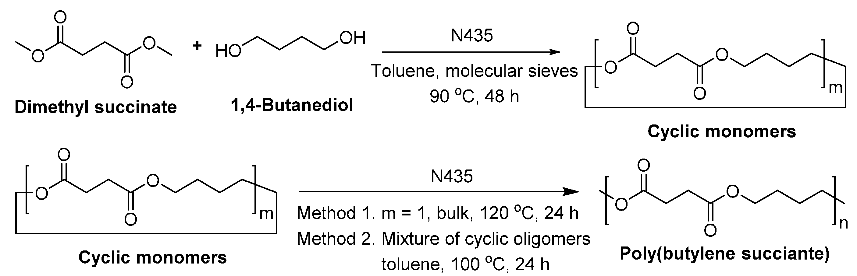 Polymers 08 00243 sch025