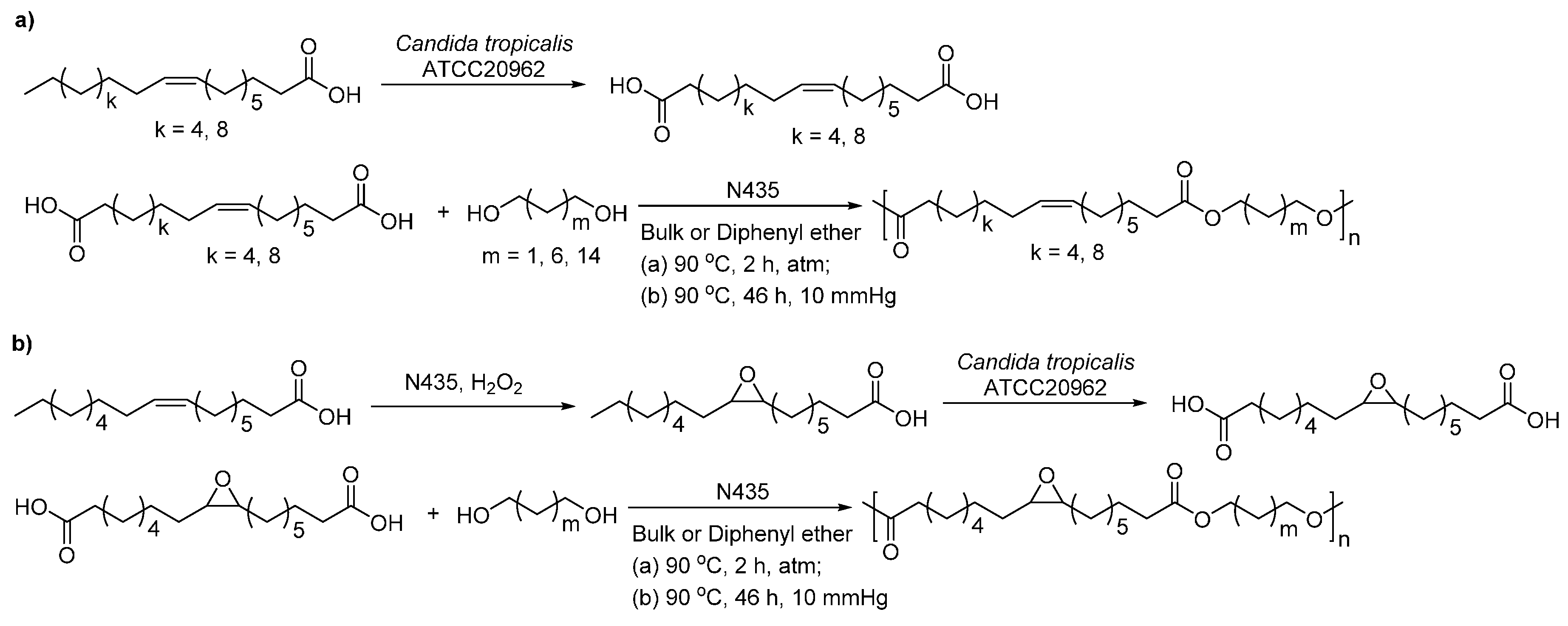 Polymers 08 00243 sch036