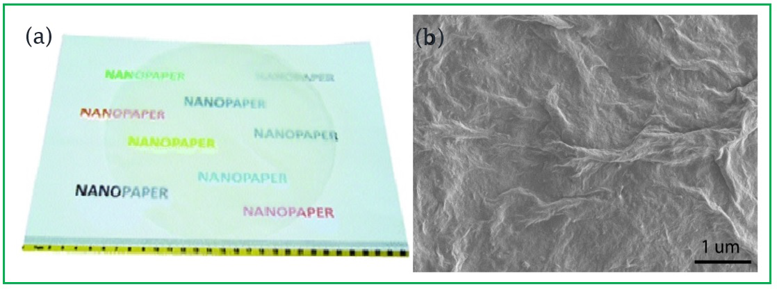 Polymers 08 00246 g002