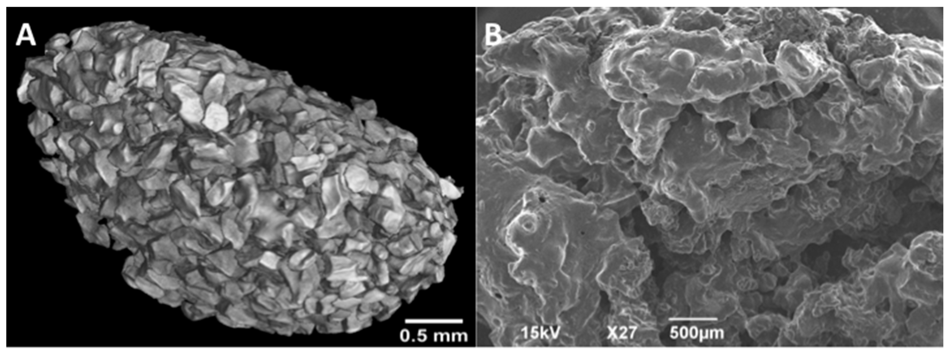 Polymers 08 00247 g004