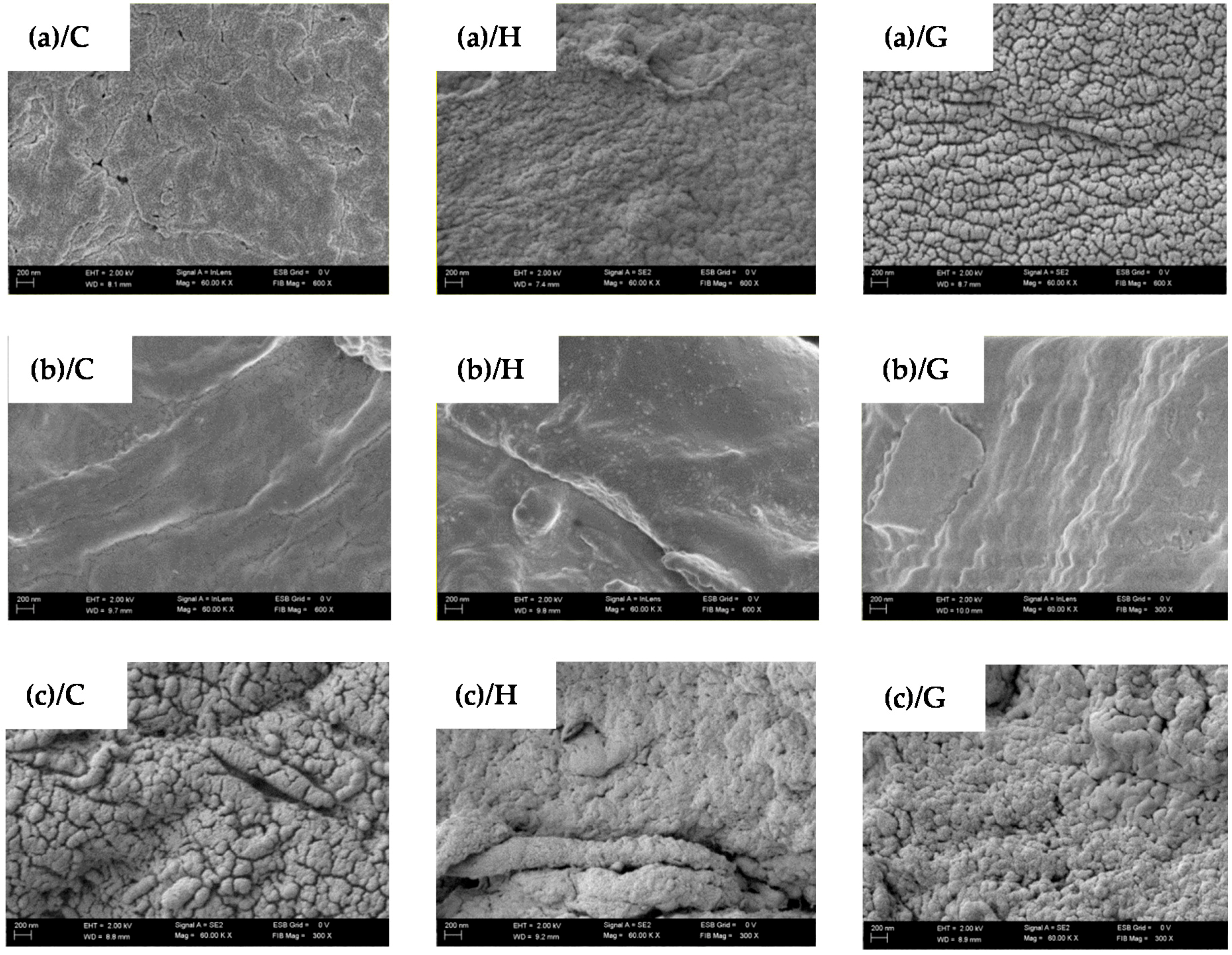 Polymers 08 00248 g004