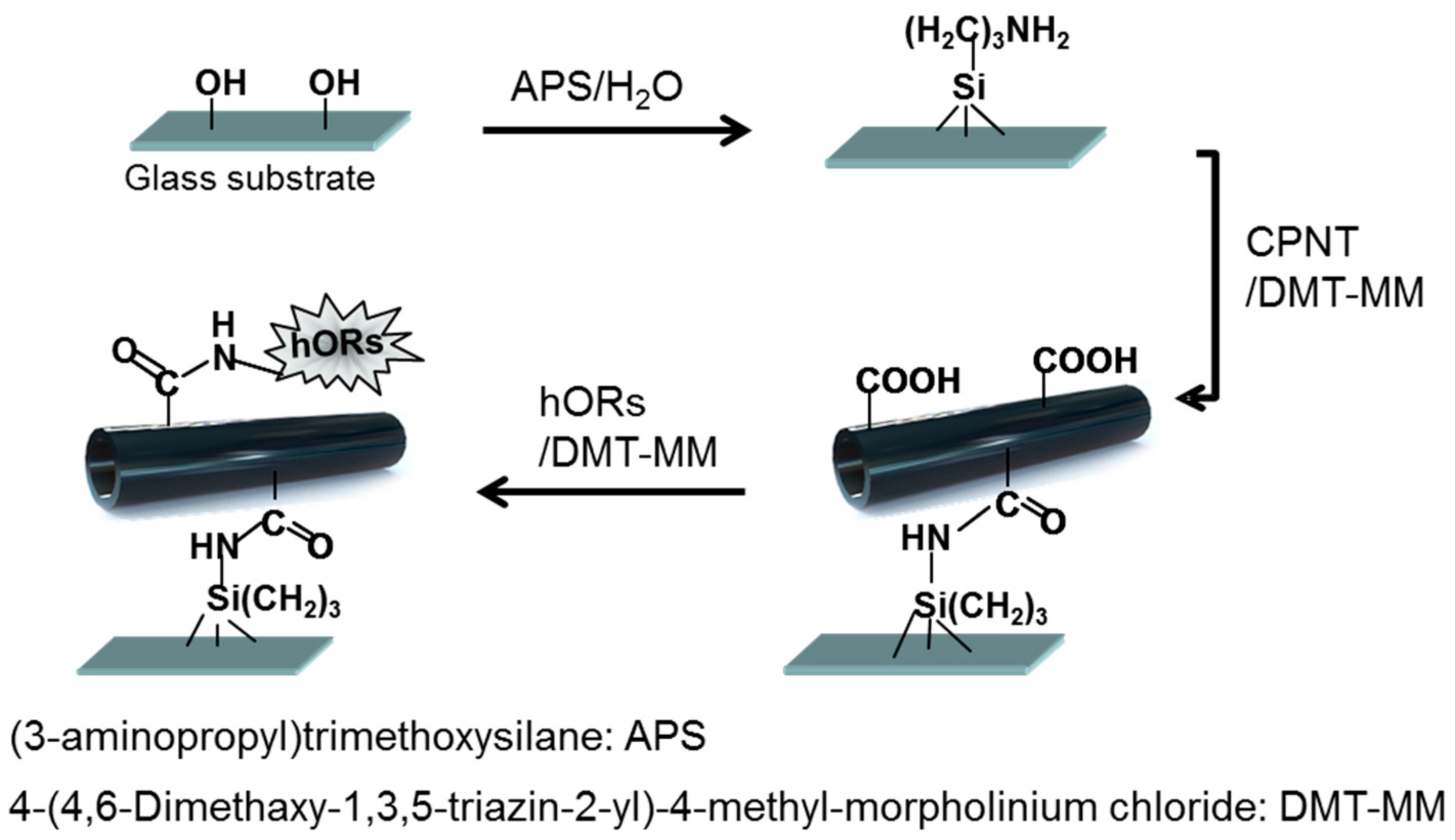 Polymers 08 00249 g001