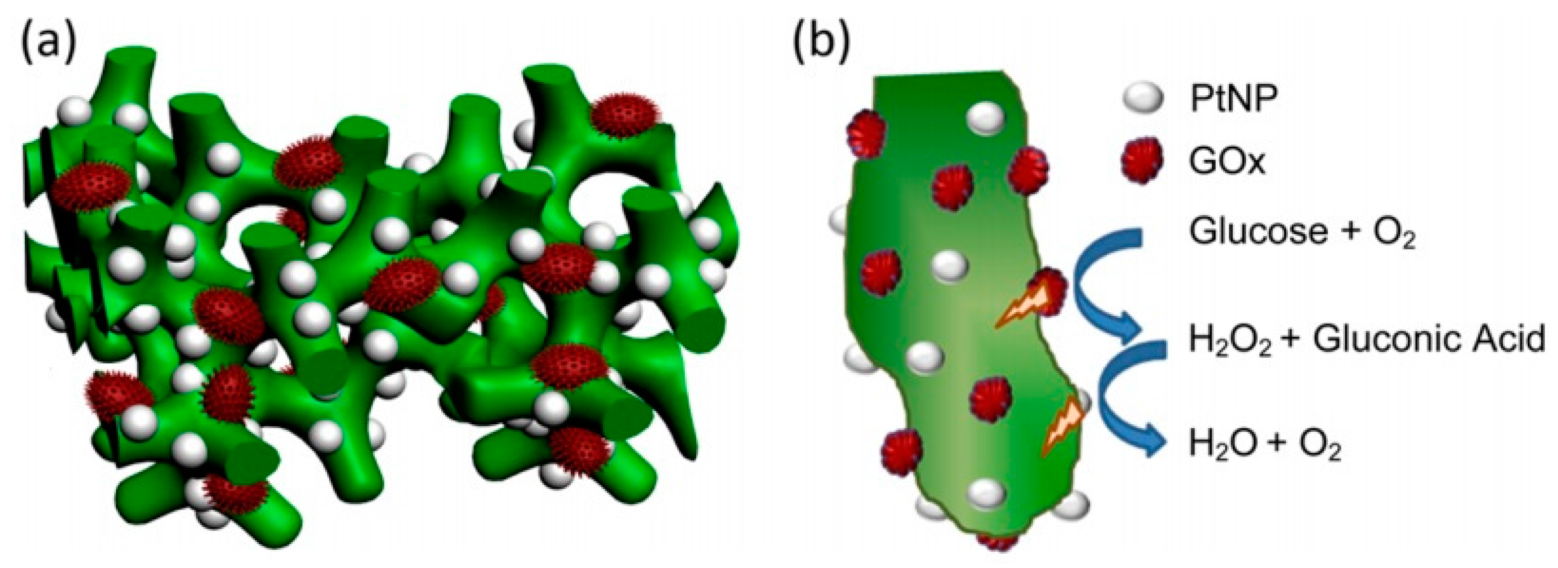 Polymers 08 00249 g004