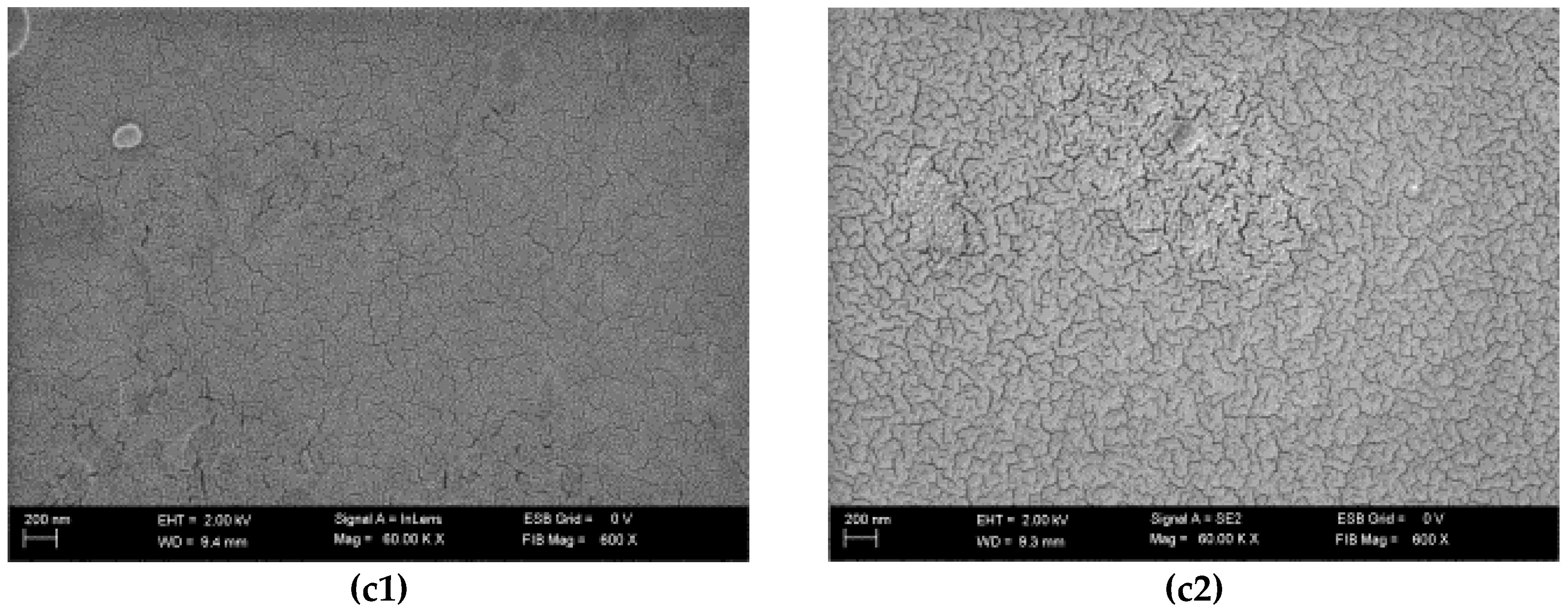 Polymers 08 00275 g009b