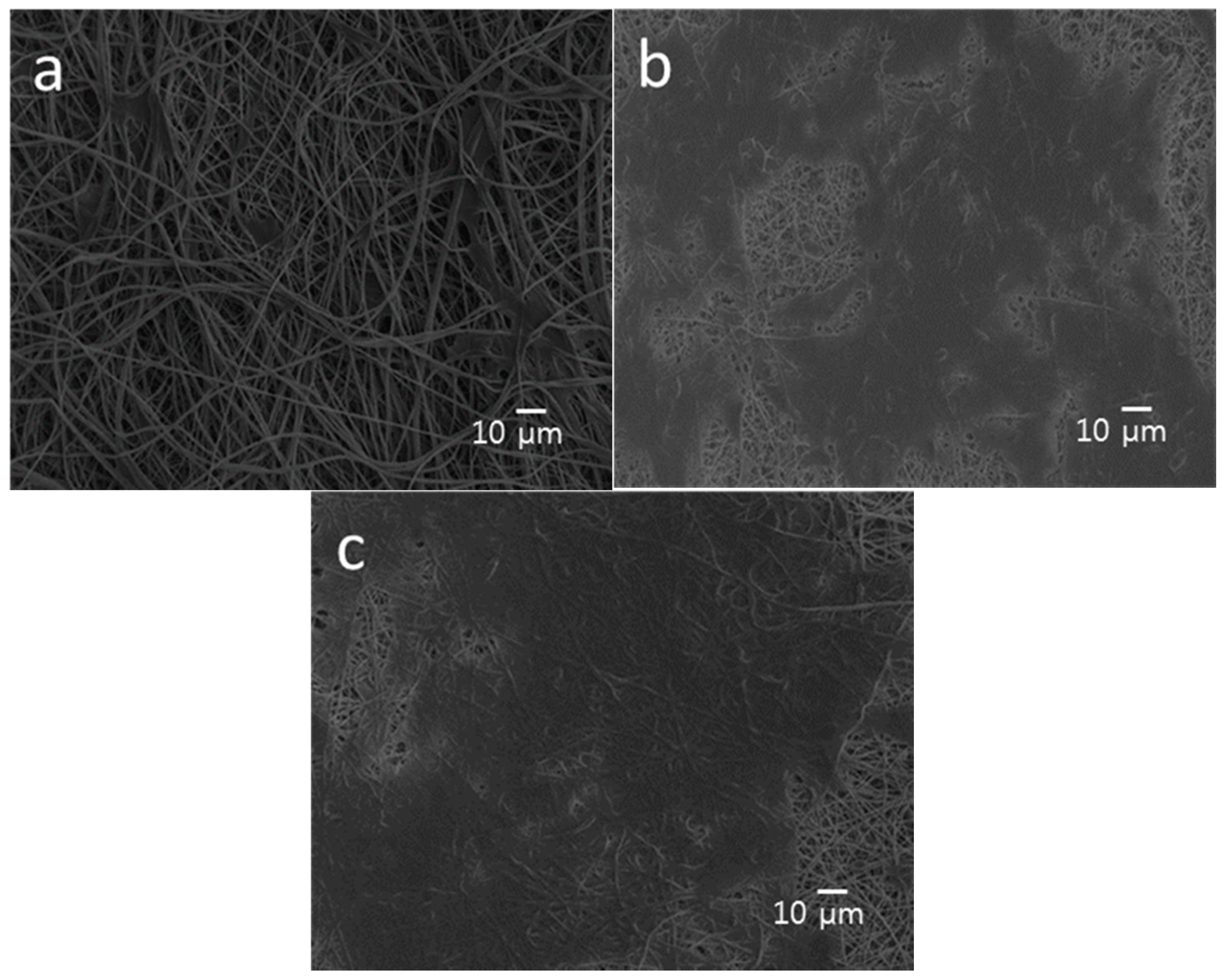 Polymers 08 00287 g011