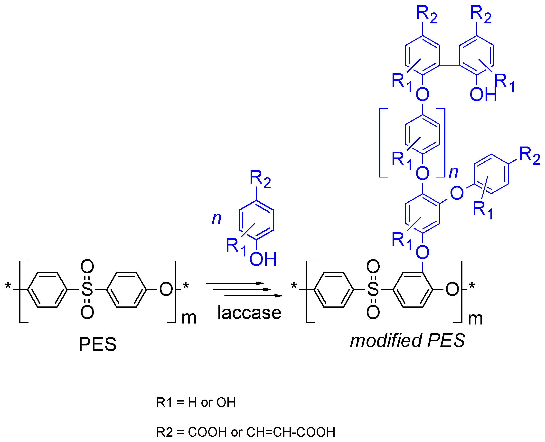 Polymers 08 00306 g002