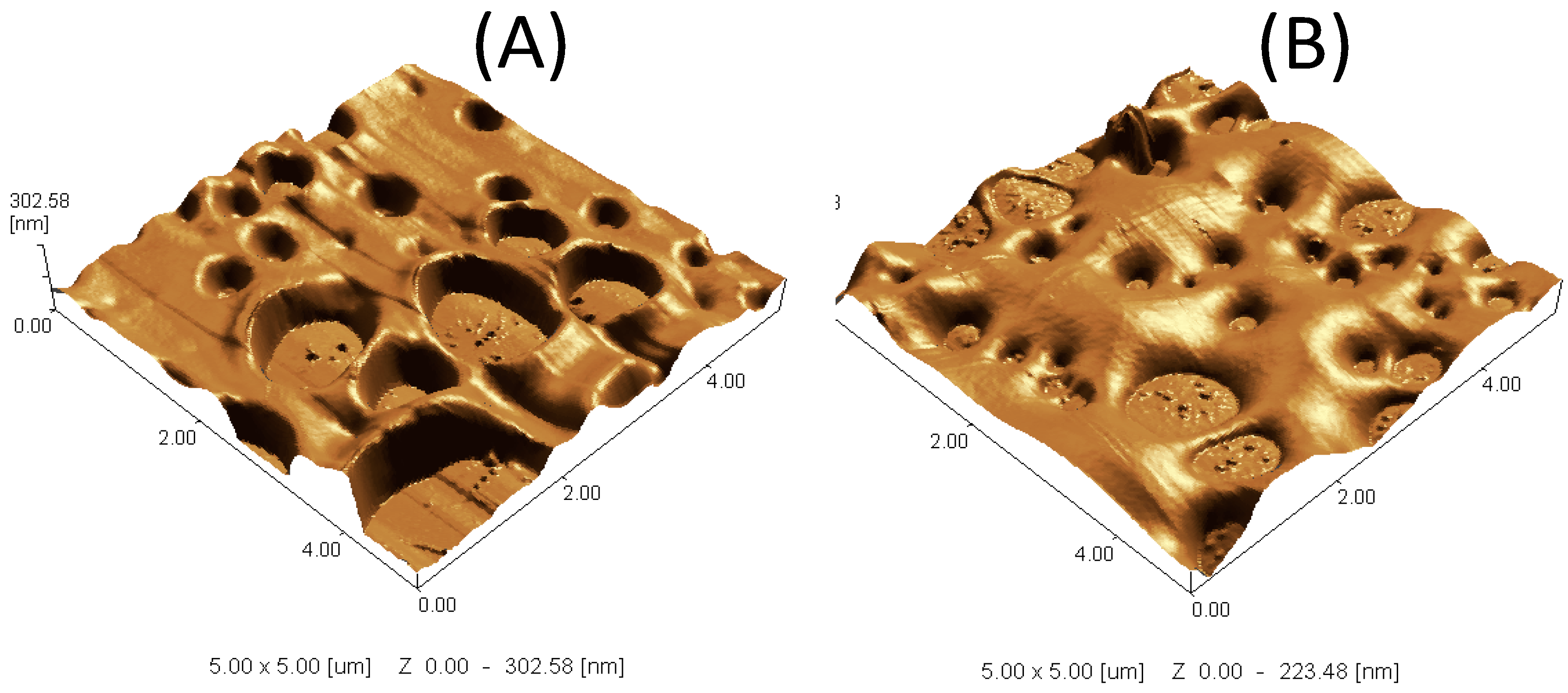 Polymers 08 00306 g011