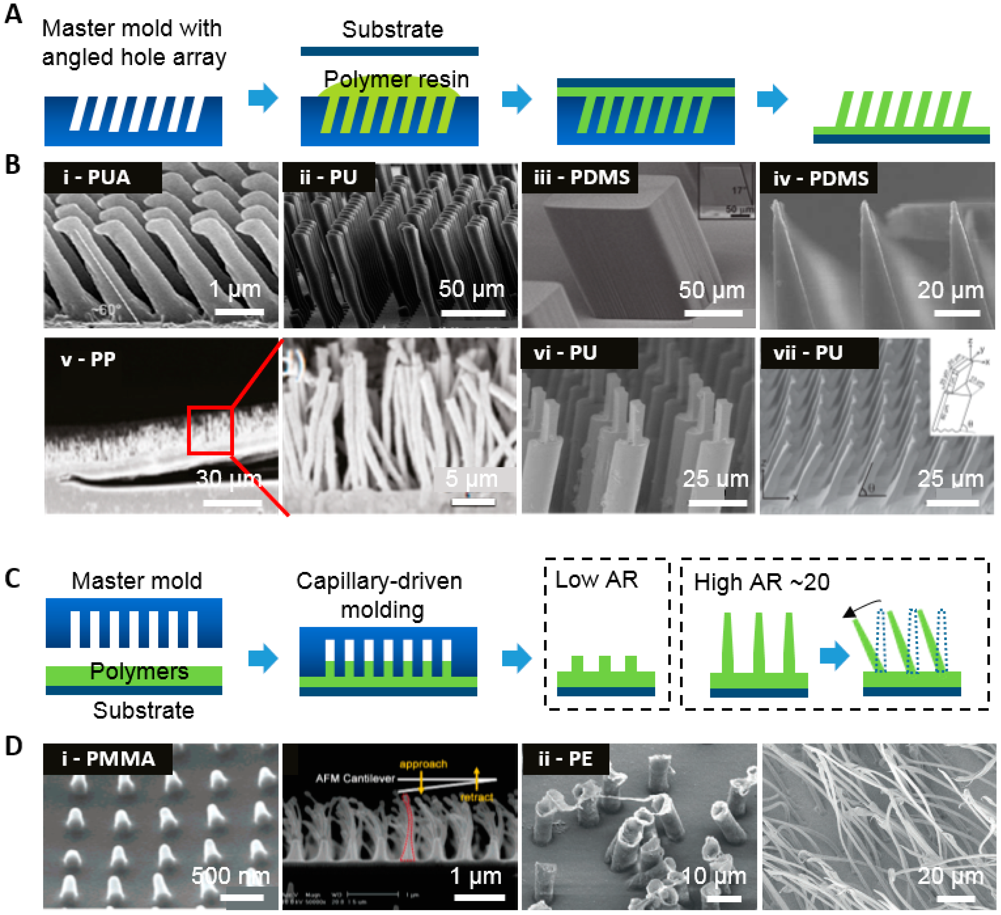 Polymers 08 00326 g002