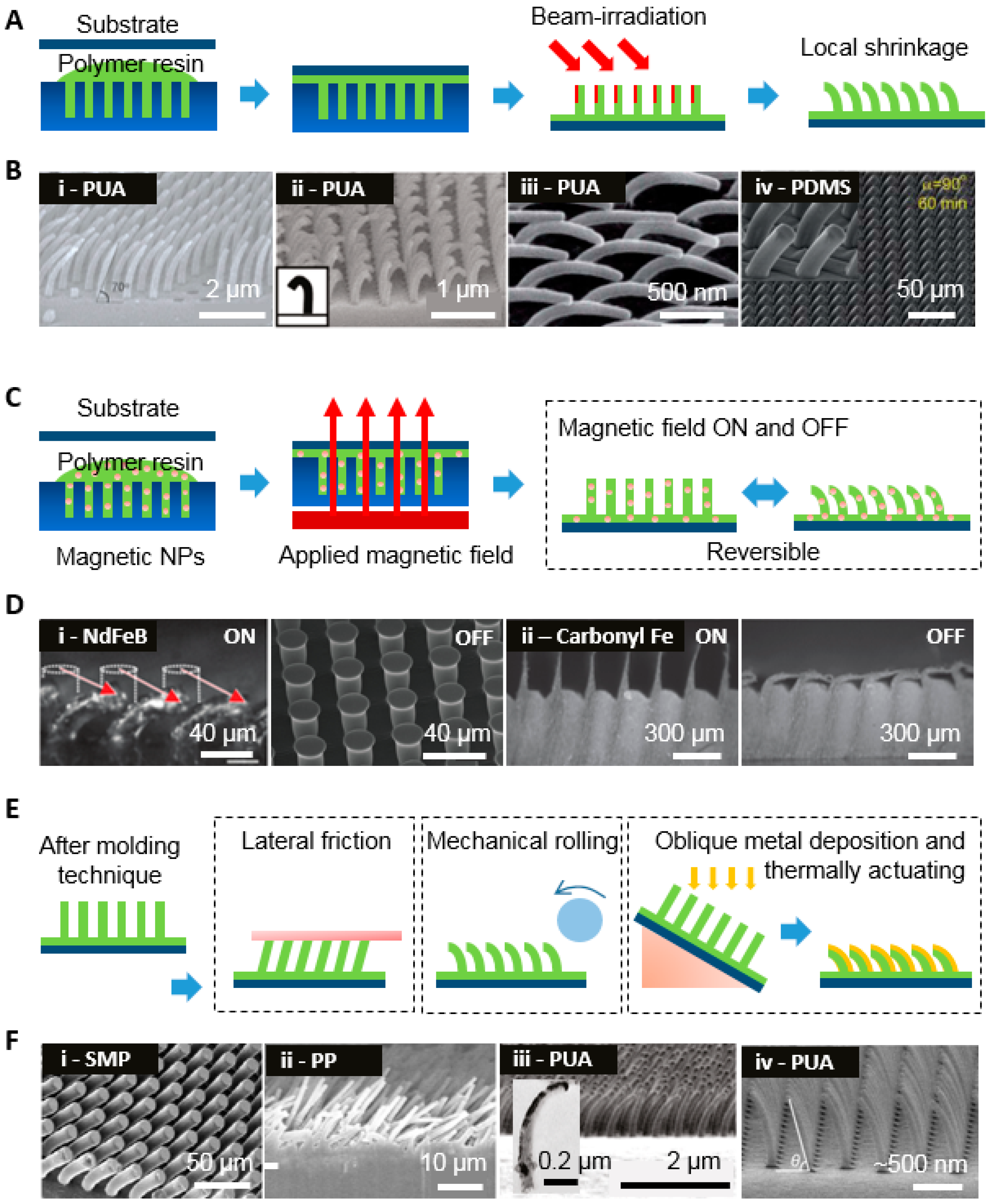 Polymers 08 00326 g003