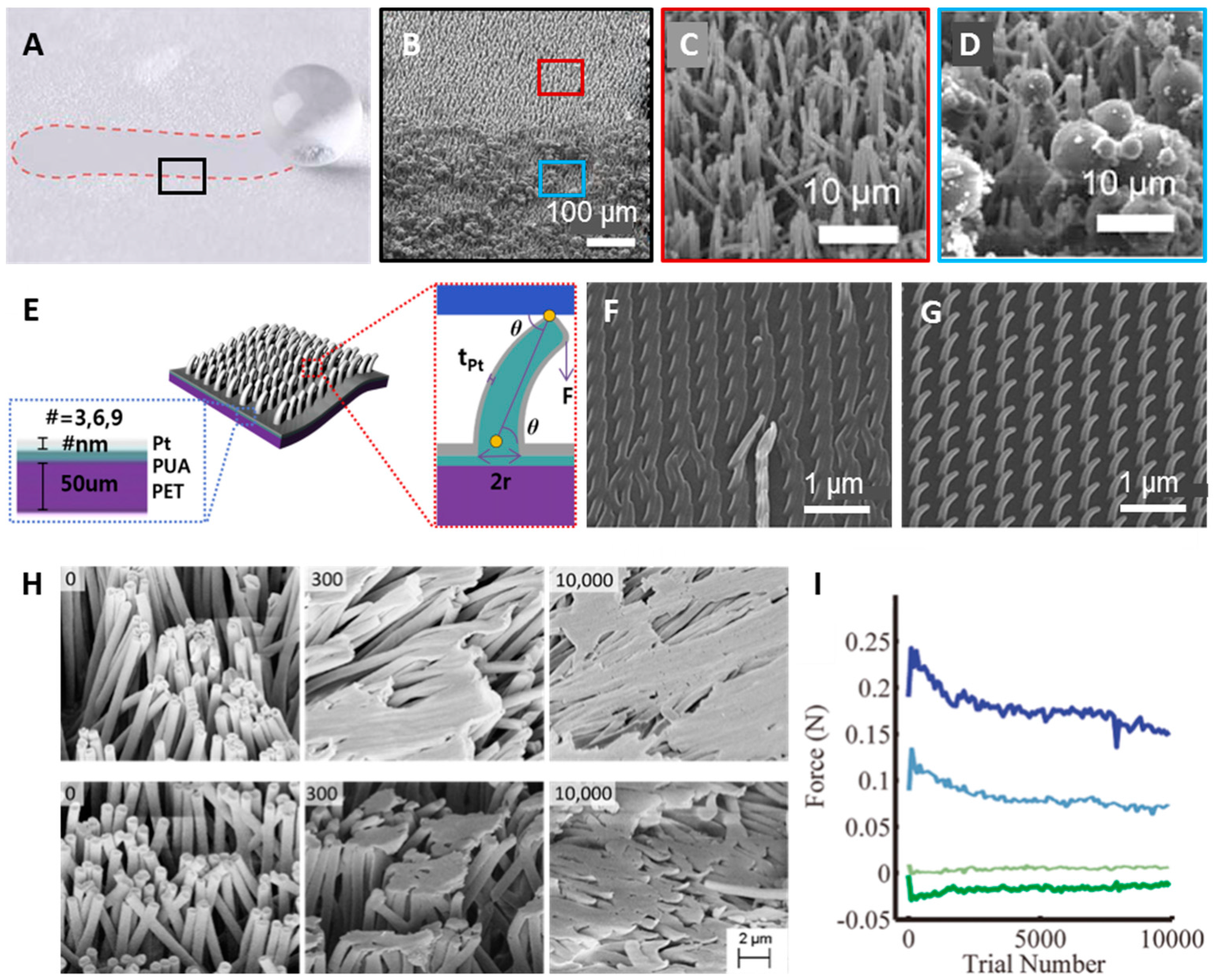 Polymers 08 00326 g005