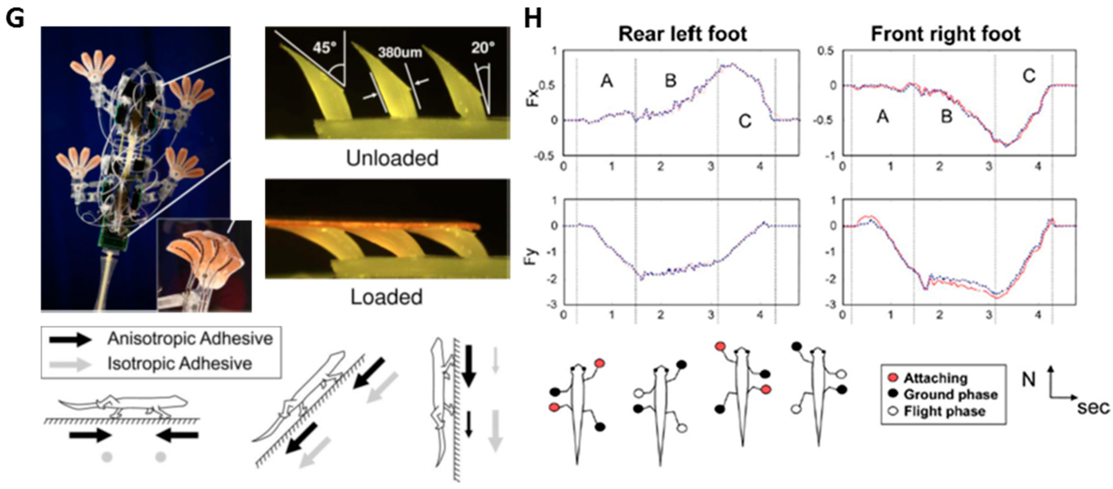 Polymers 08 00326 g006b