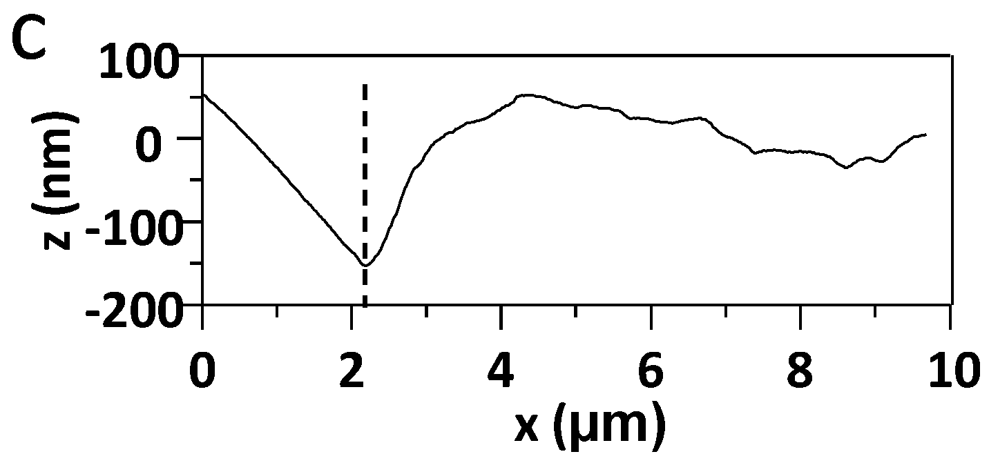 Polymers 08 00329 g011b
