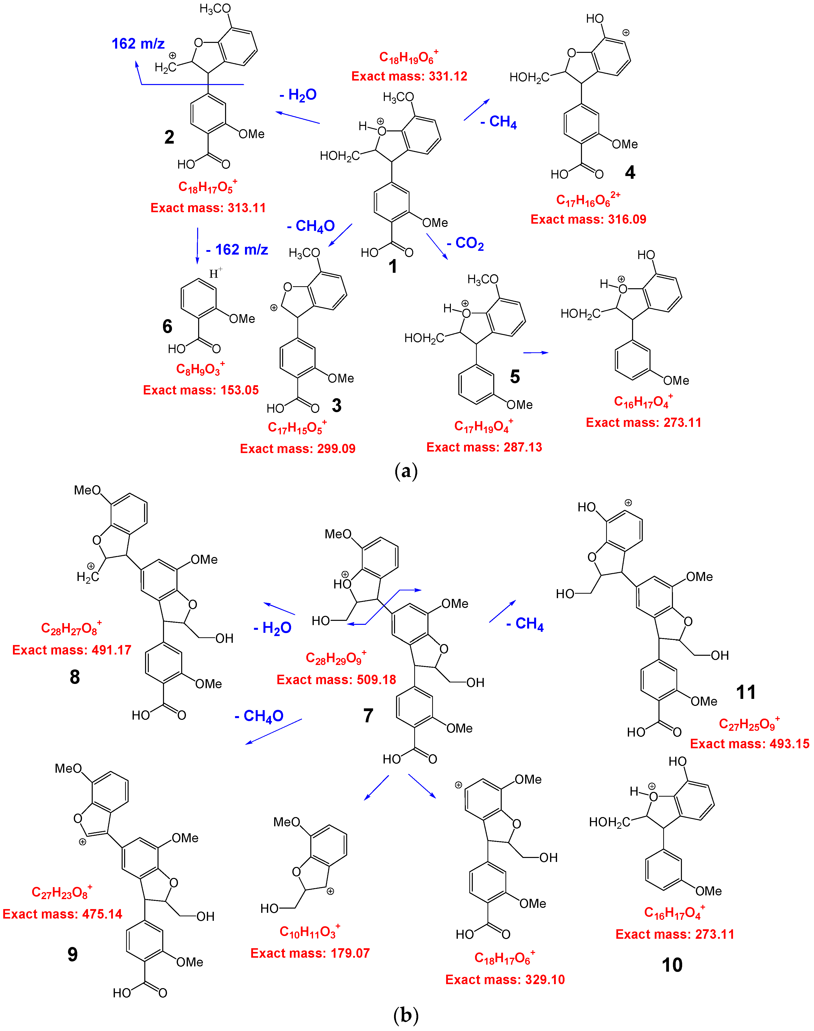 Polymers 08 00340 g003 1024