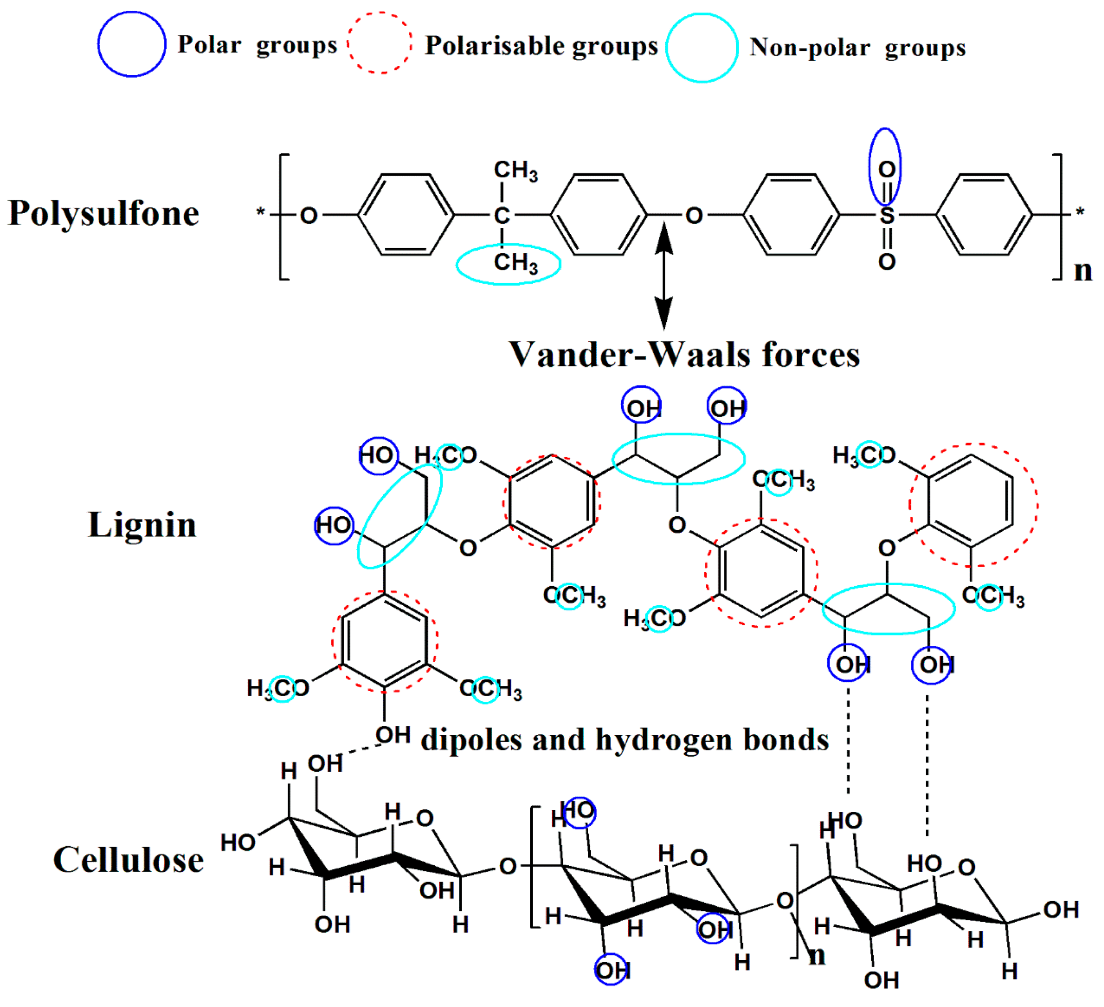 Polymers 08 00349 g001 550