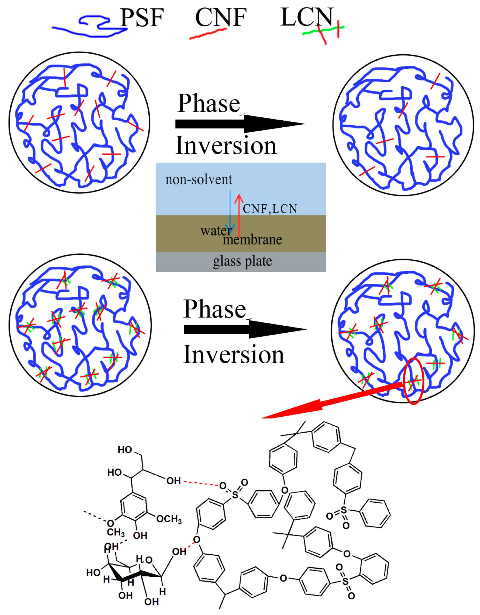 Polymers 08 00349 g002 550