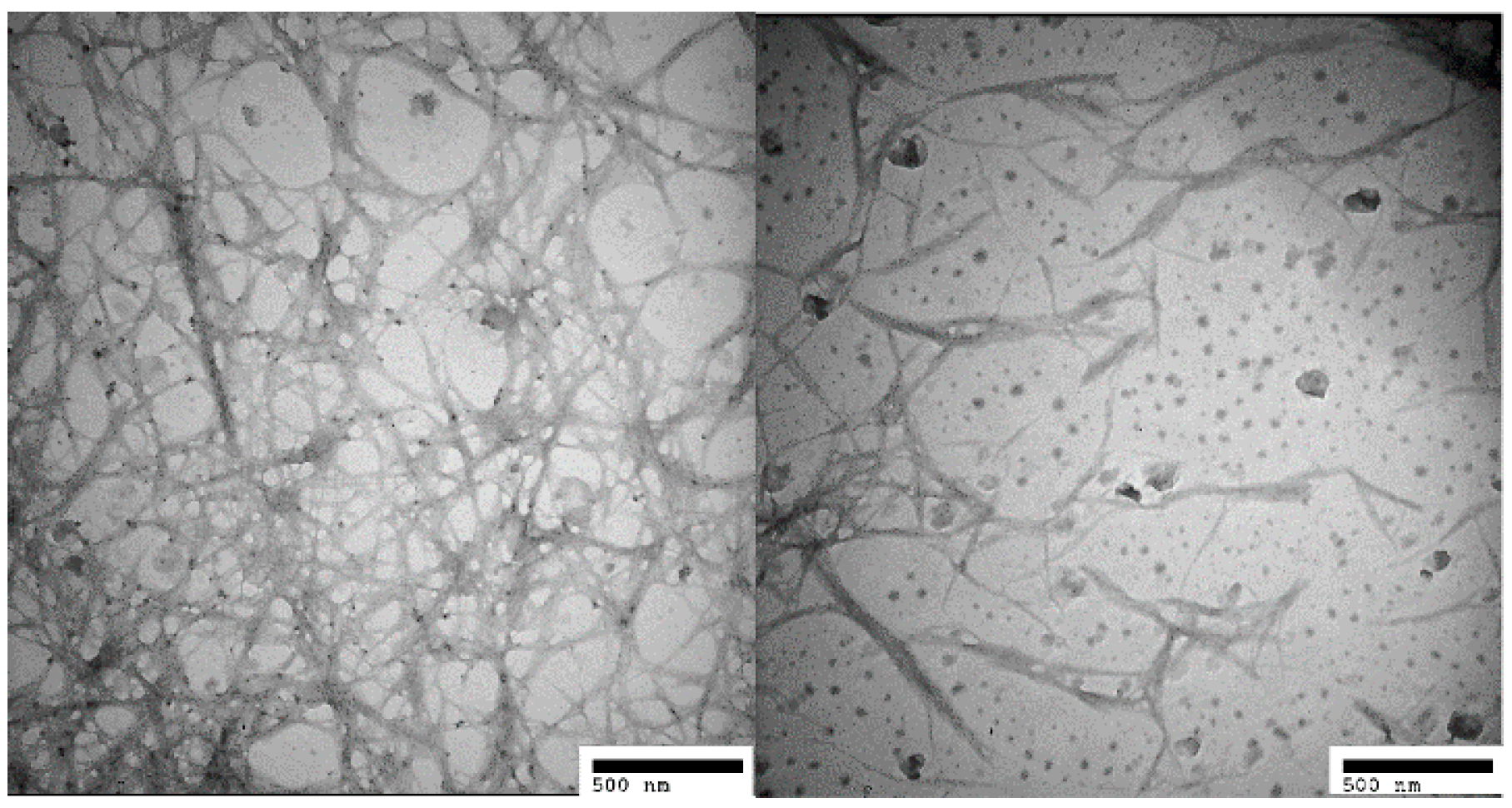 Polymers 08 00349 g004 550
