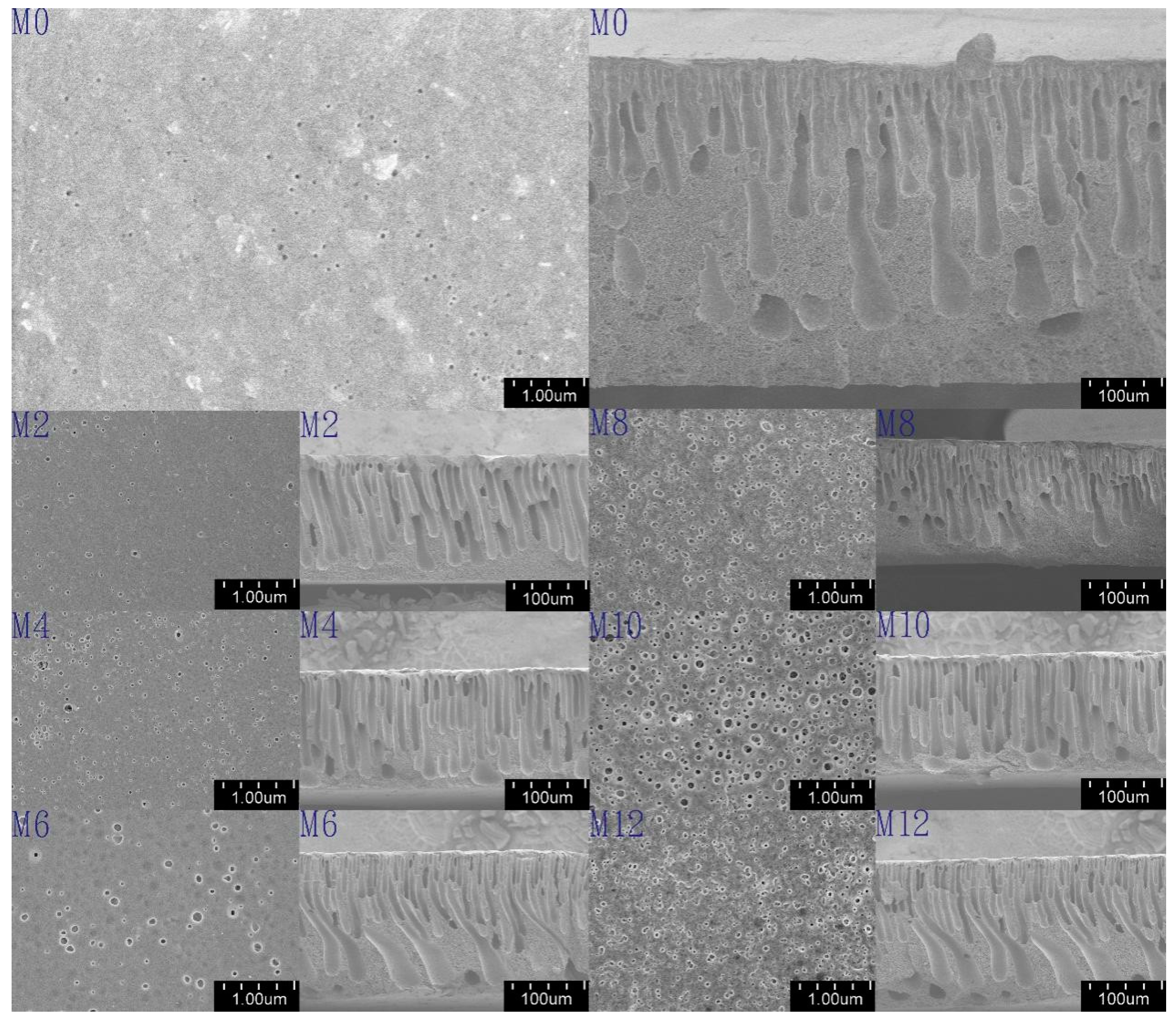 Polymers 08 00349 g005 550
