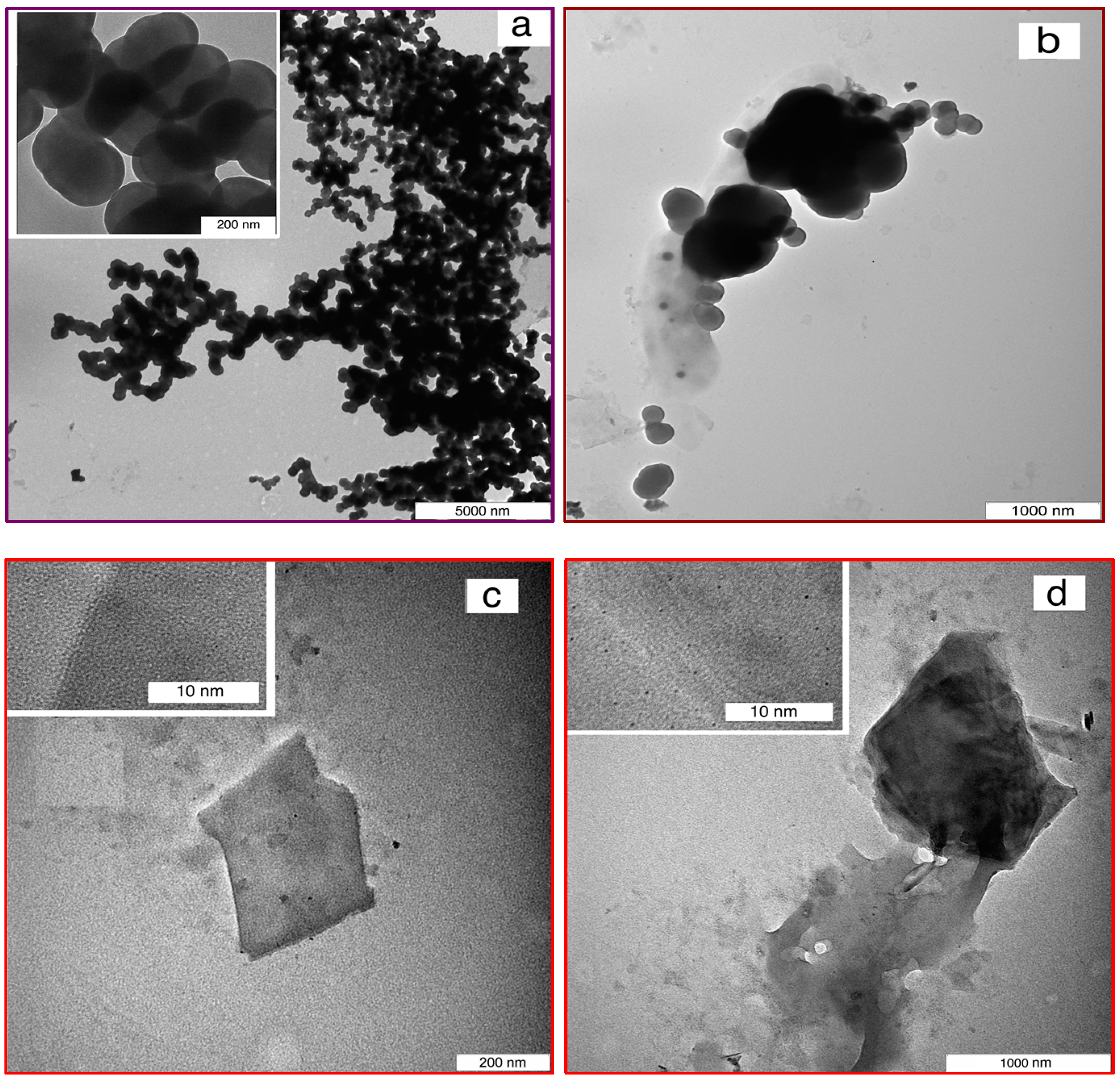 Polymers 08 00381 g002