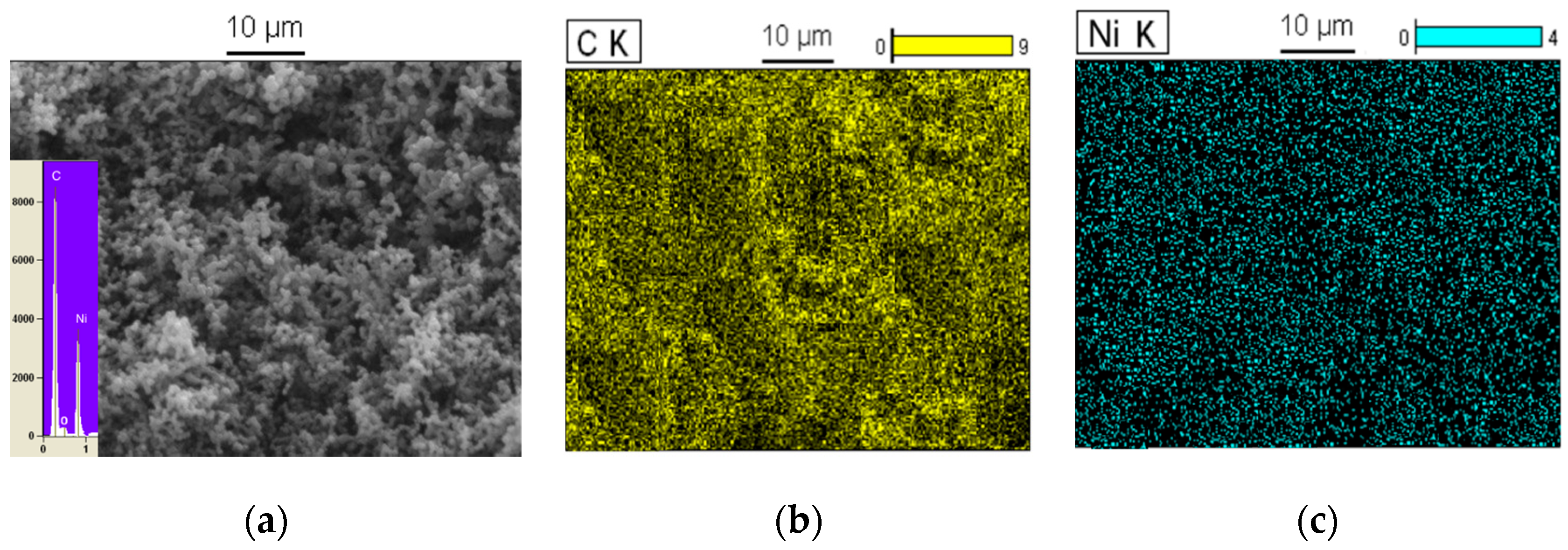 Polymers 08 00381 g005