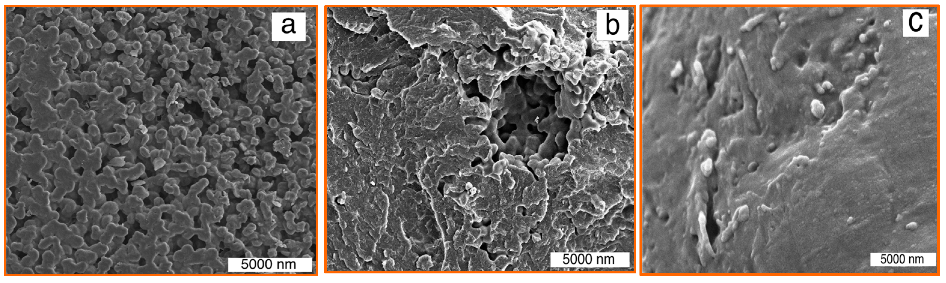 Polymers 08 00381 g007