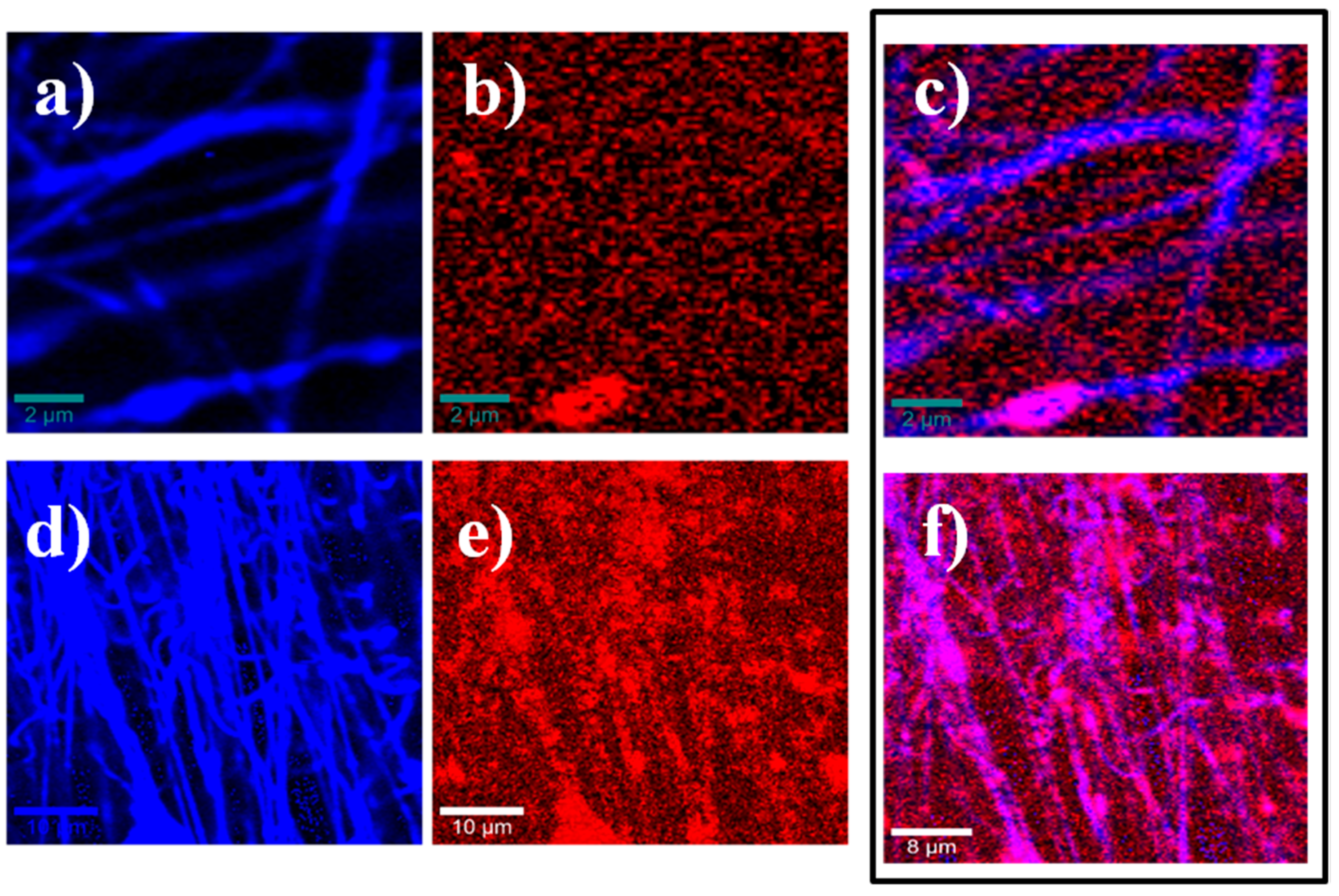 Polymers Free Full Text Polycaprolactone Amino B Cyclodextrin Inclusion Complex Prepared By An Electrospinning Technique Html