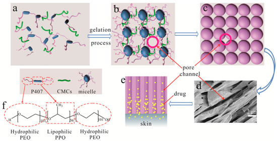 polymers free full text enhanced transdermal what is a matrix diagram
