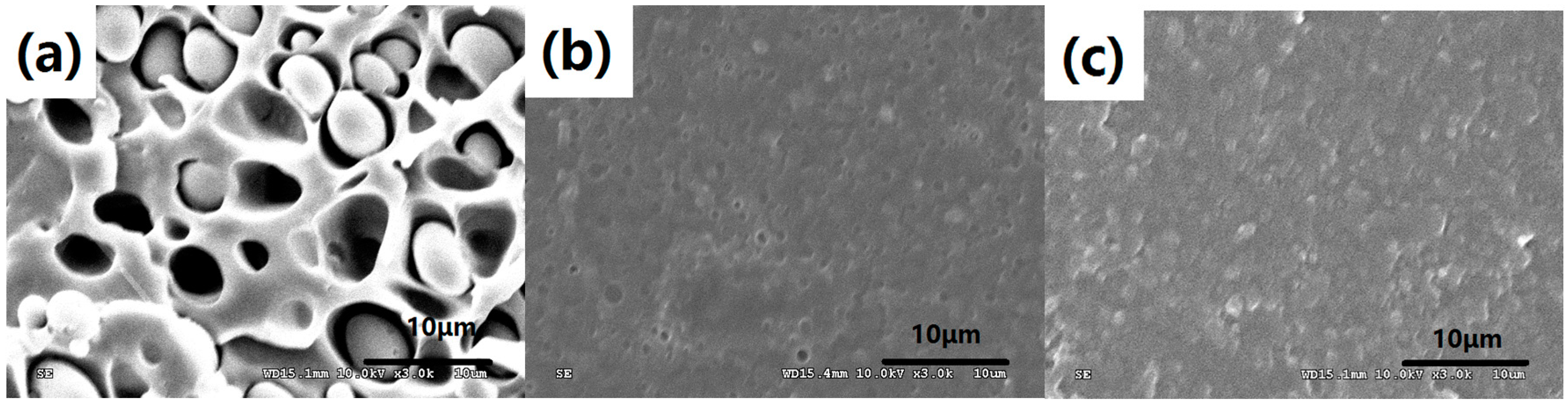 Polymers 08 00417 g006 550