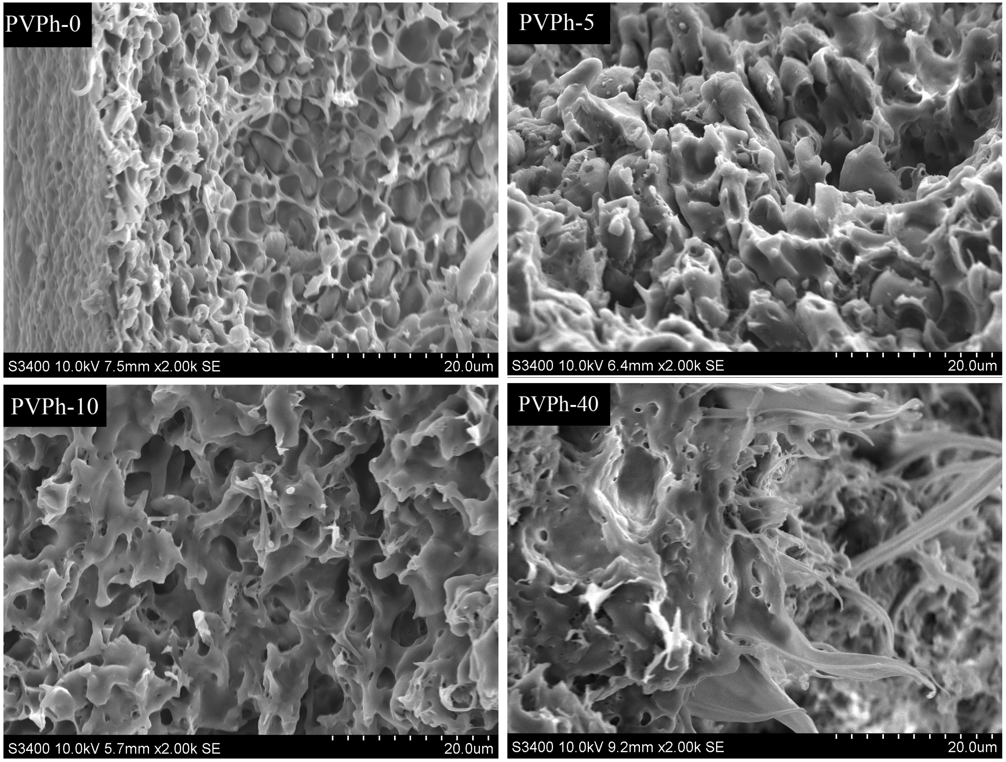Polymers 08 00421 g003