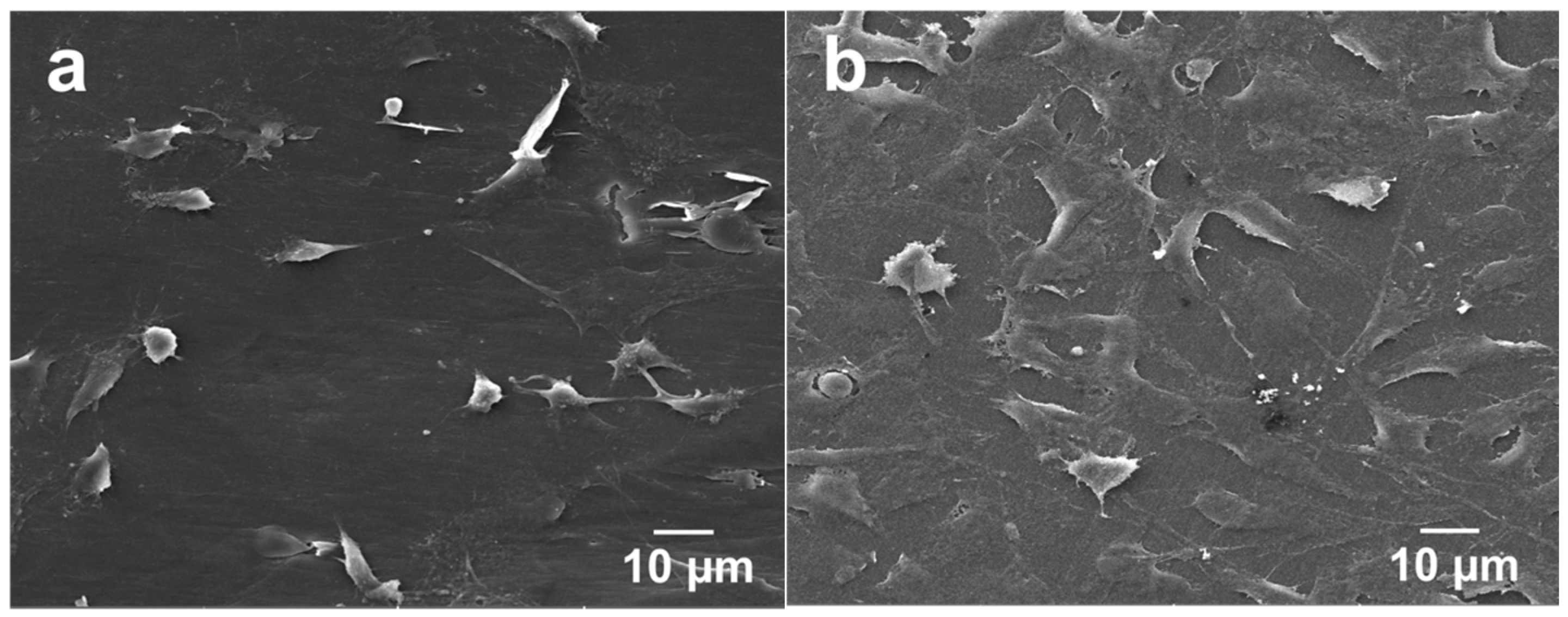 Polymers 08 00425 g010