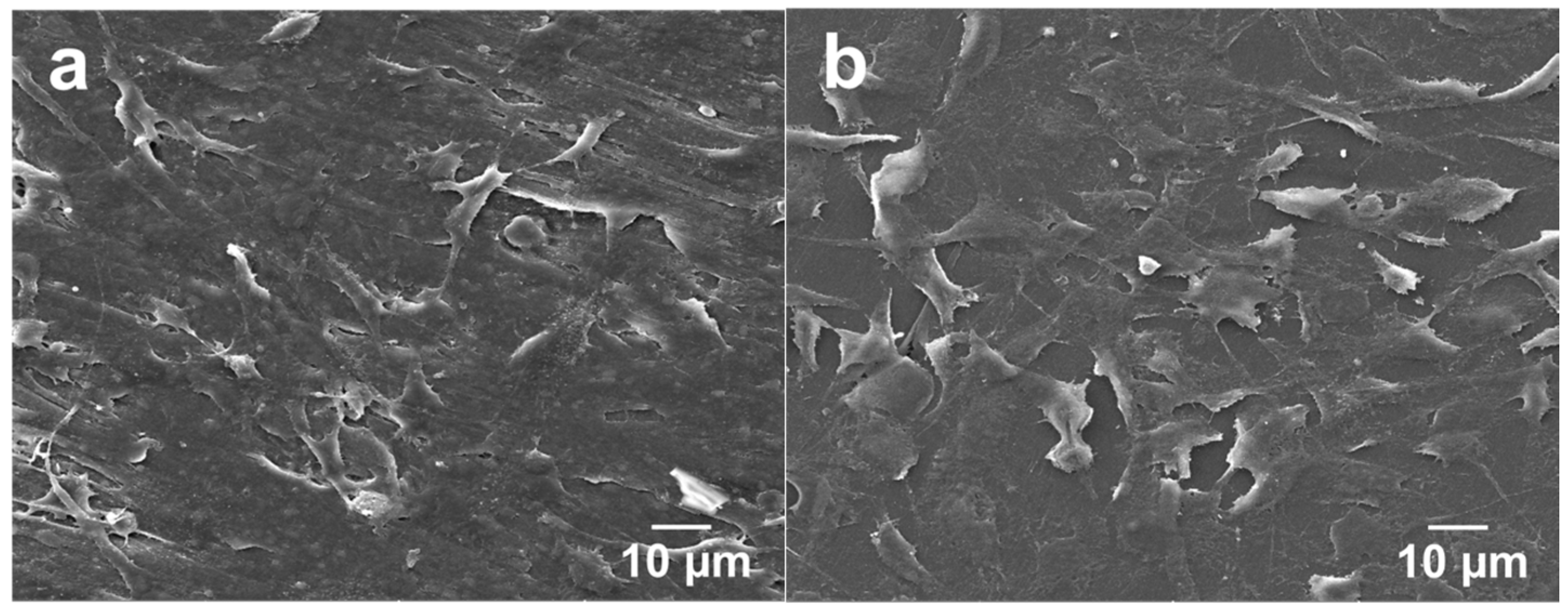 Polymers 08 00425 g011